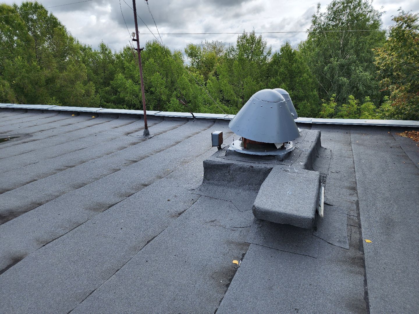 Чехов, школа 8, ремонт кровли, замена покрытия кровли, линокром, муниципальная программа Образование, гидроизоляция, теплоизоляция,