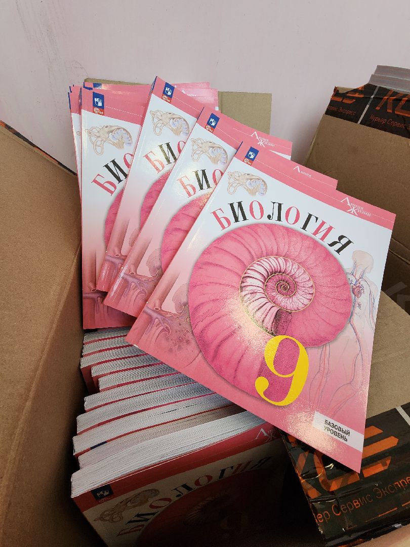 образование, образование в подмосковье, образование рузский округ, школьная библиотека, руза, рузский городской округ,