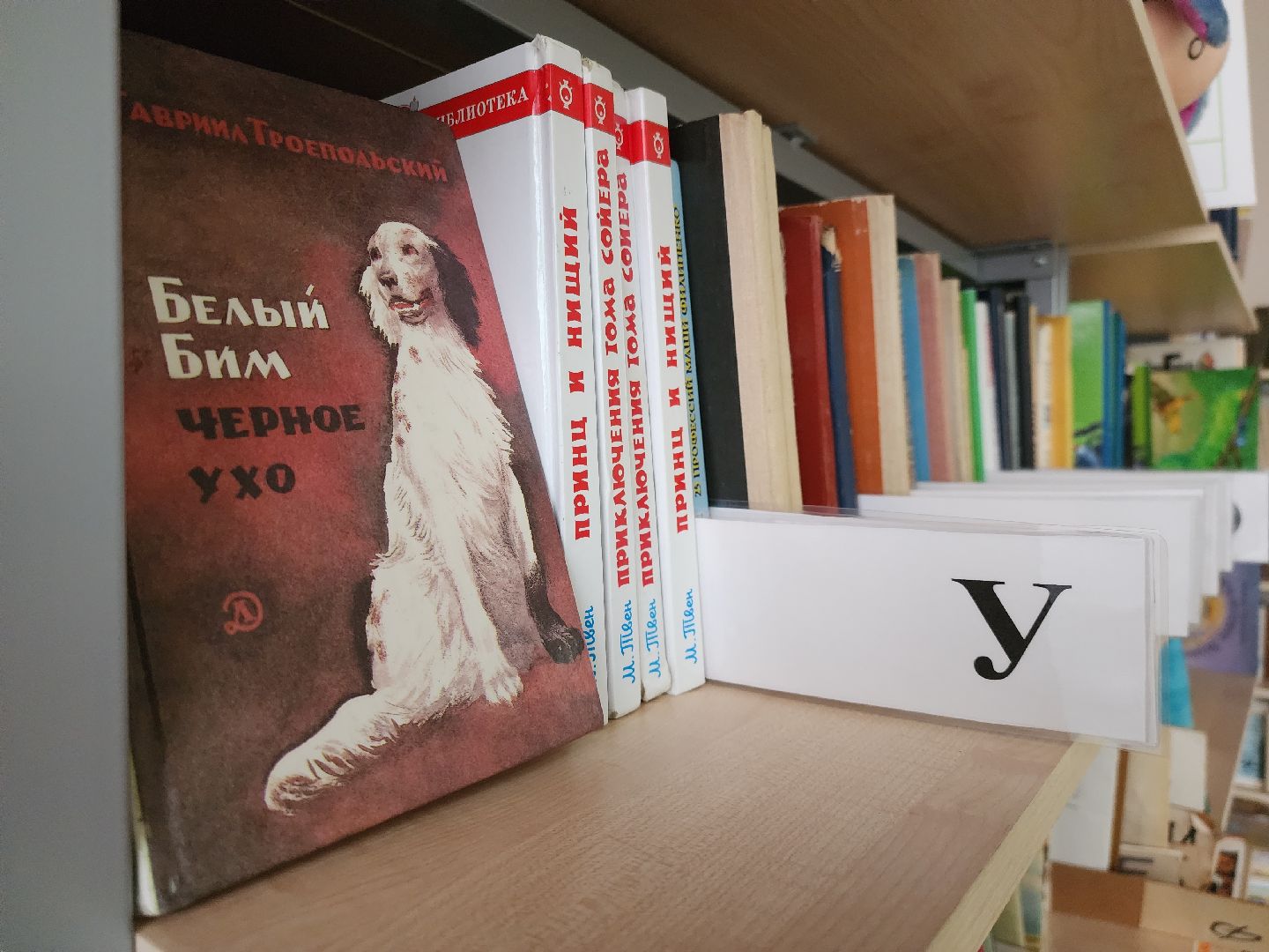 образование, образование в подмосковье, образование рузский округ, школьная библиотека, руза, рузский городской округ,