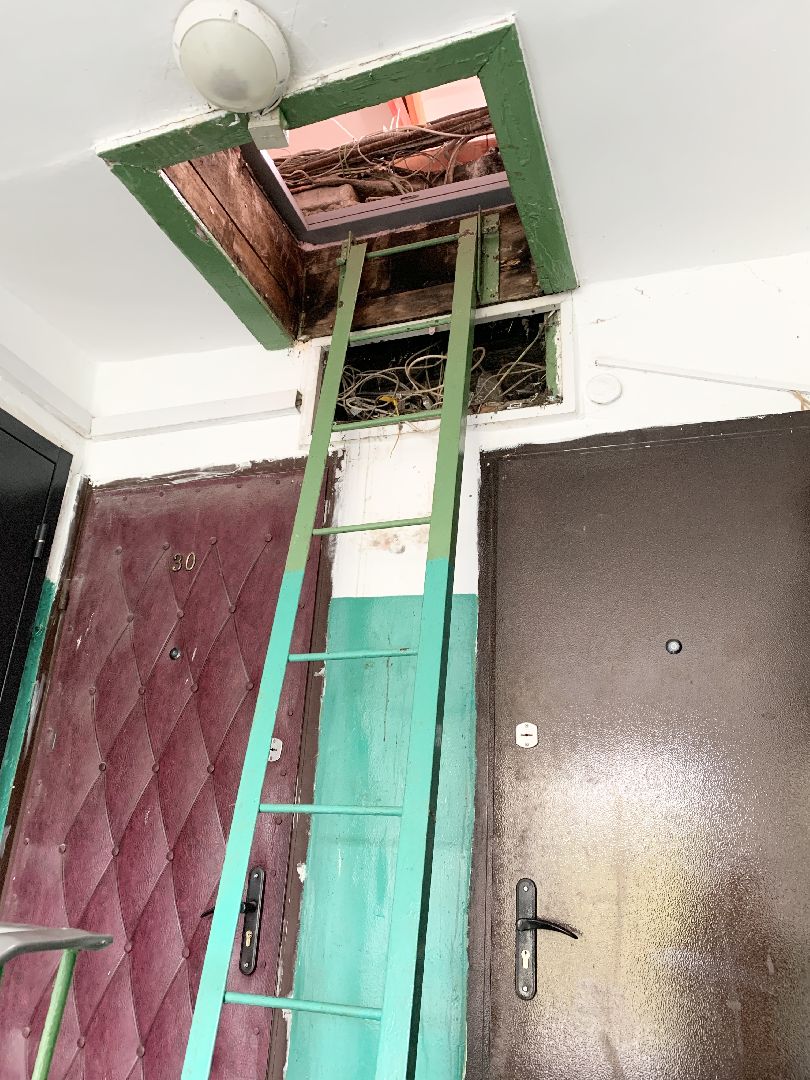 Балашиха, Подмосковье, Благоустройство, обход территорий,