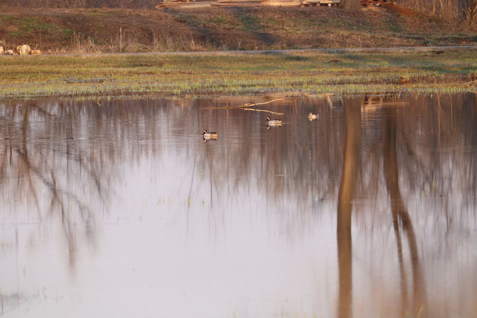 Серебряные Пруды, парк, половодье, природа