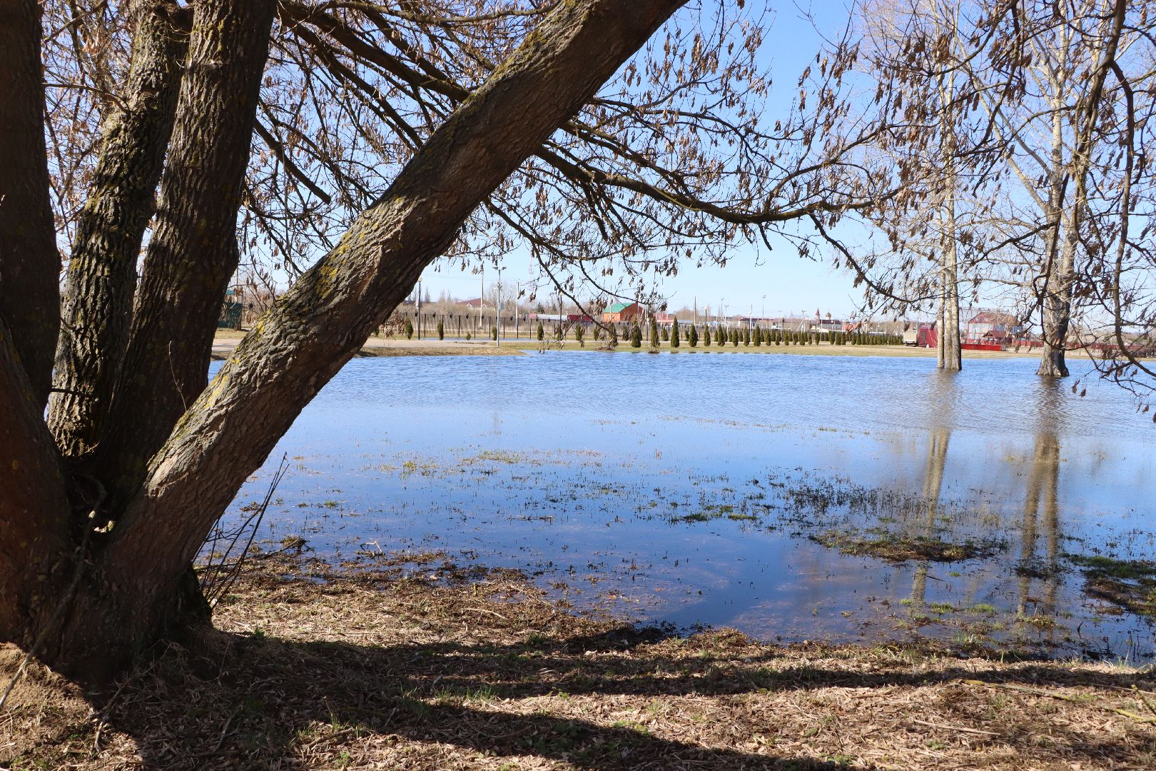 Серебряные Пруды, парк, половодье, природа