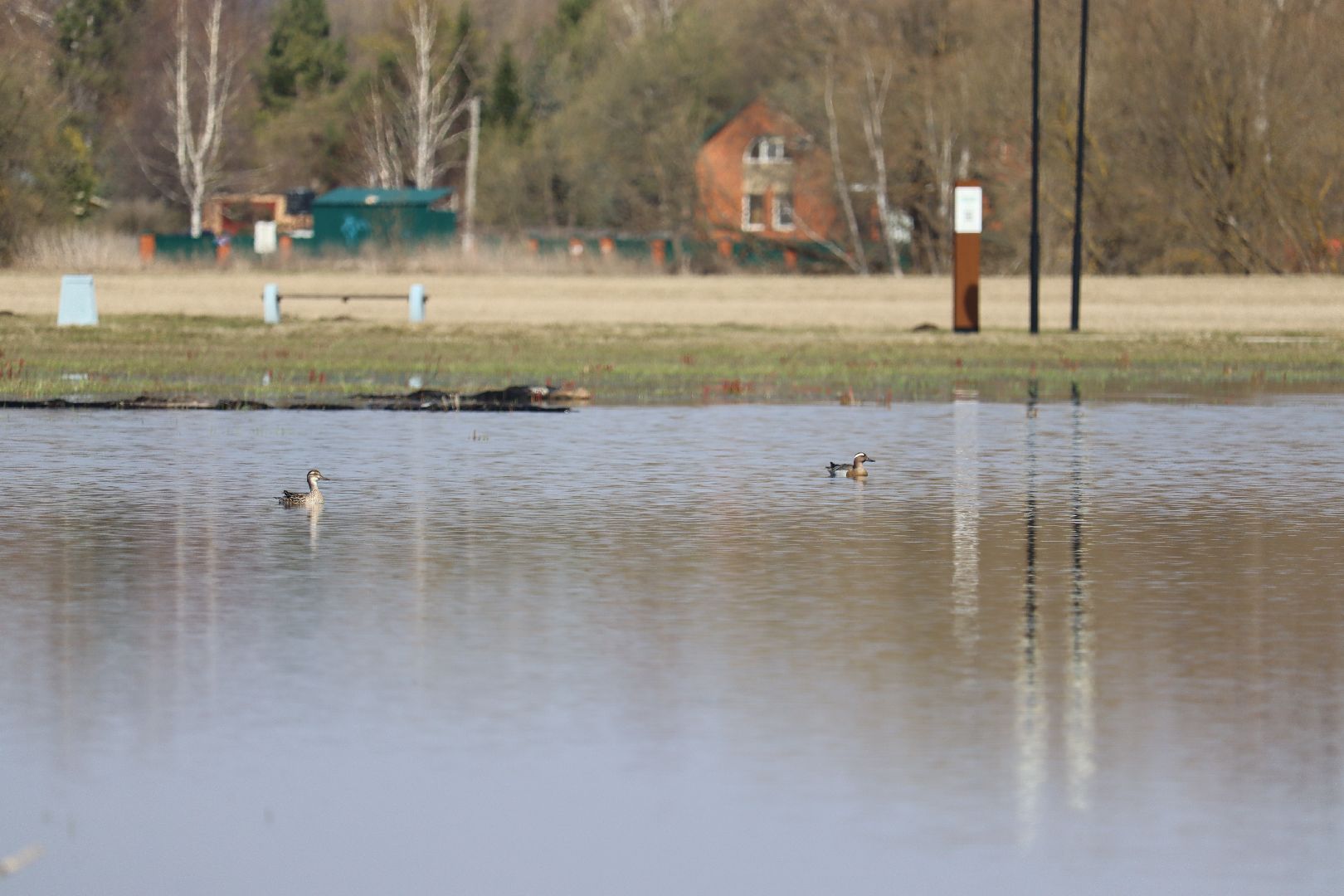 Серебряные Пруды, парк, половодье, природа