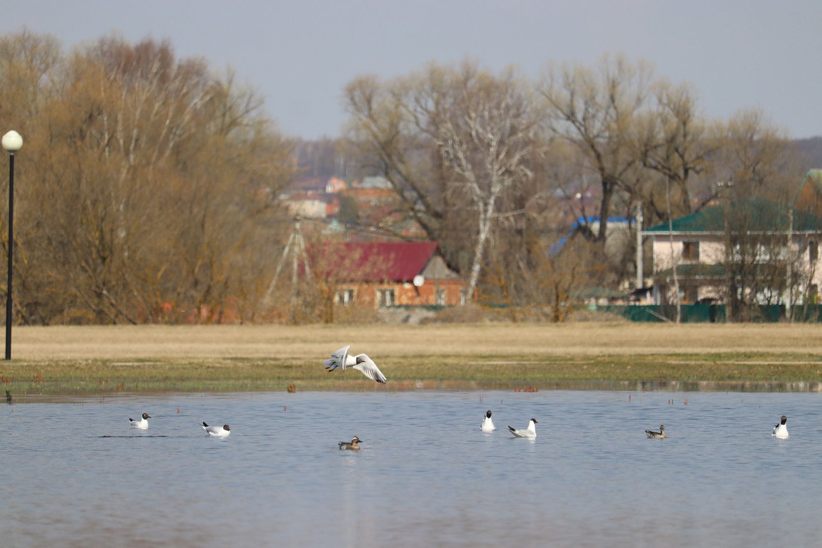 Серебряные Пруды, парк, половодье, природа