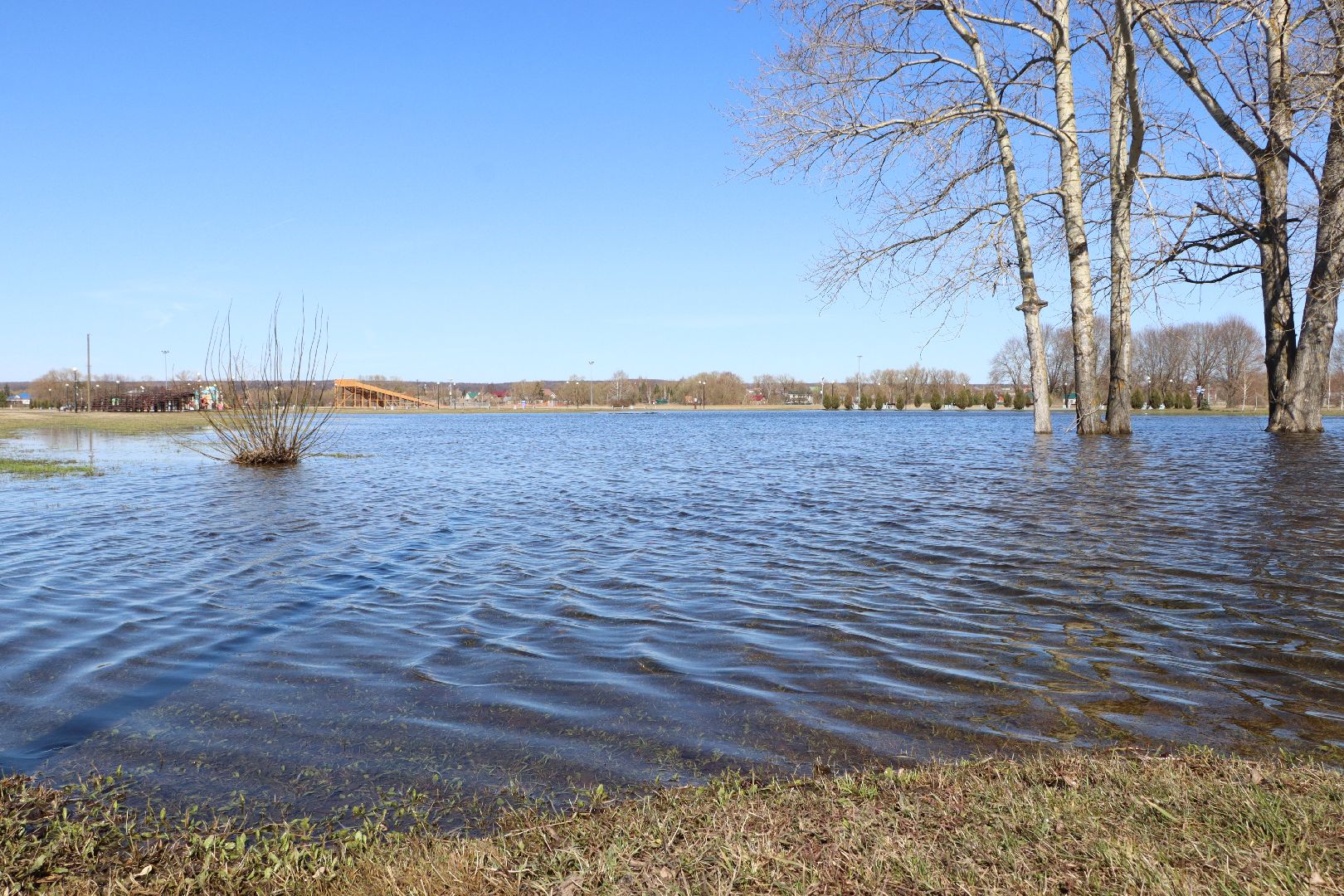 Серебряные Пруды, парк, половодье, природа