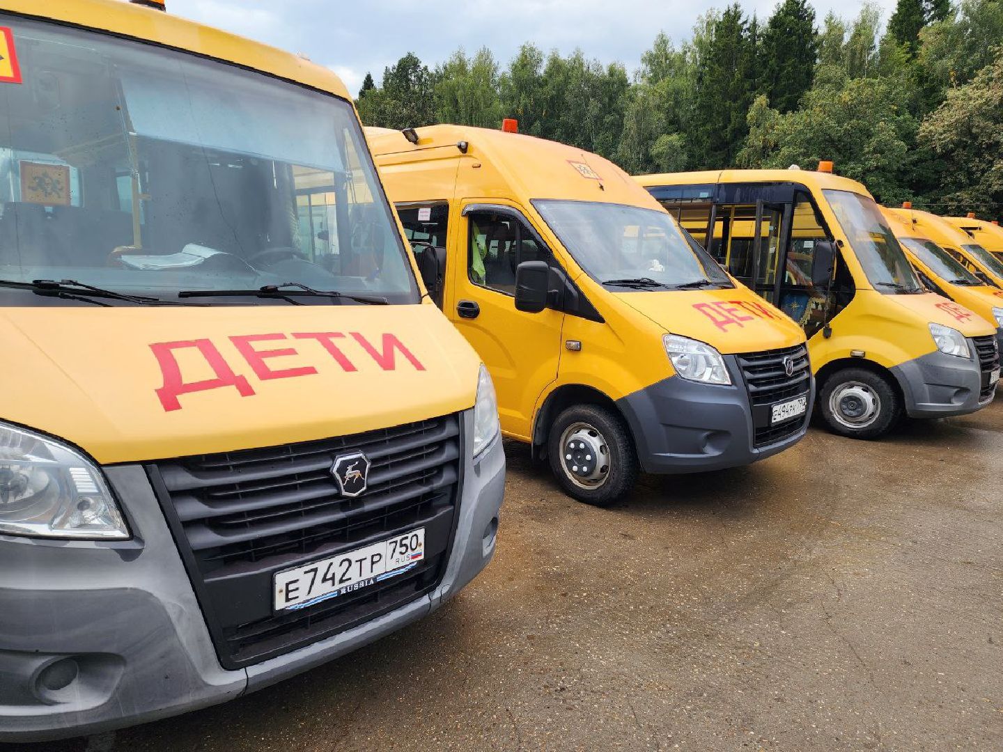 Солнечногорск, Проверка автобусов, Гибдд, Безопасность, Дети,