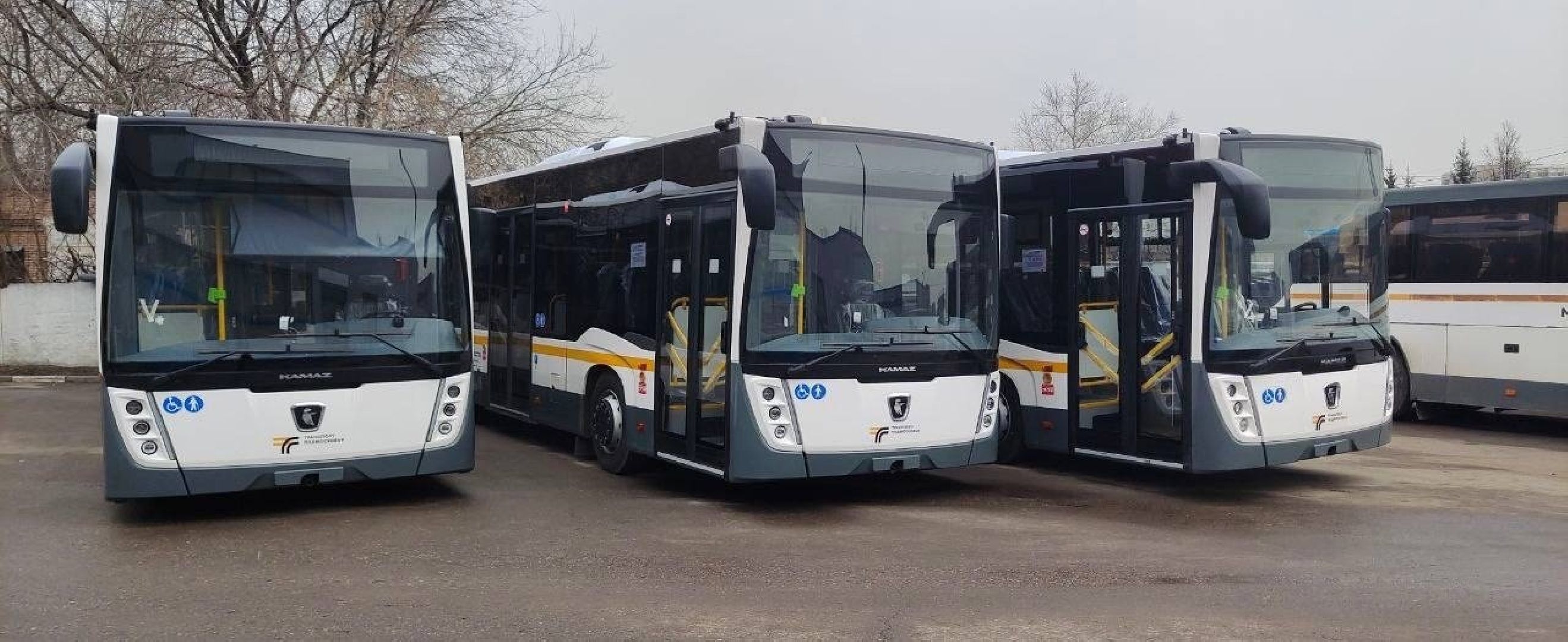 общественный транспорт, автобусы, Звенигород, Ершово, Голицыно, валидаторы для бесконтактной оплаты проезда, НеФАЗ