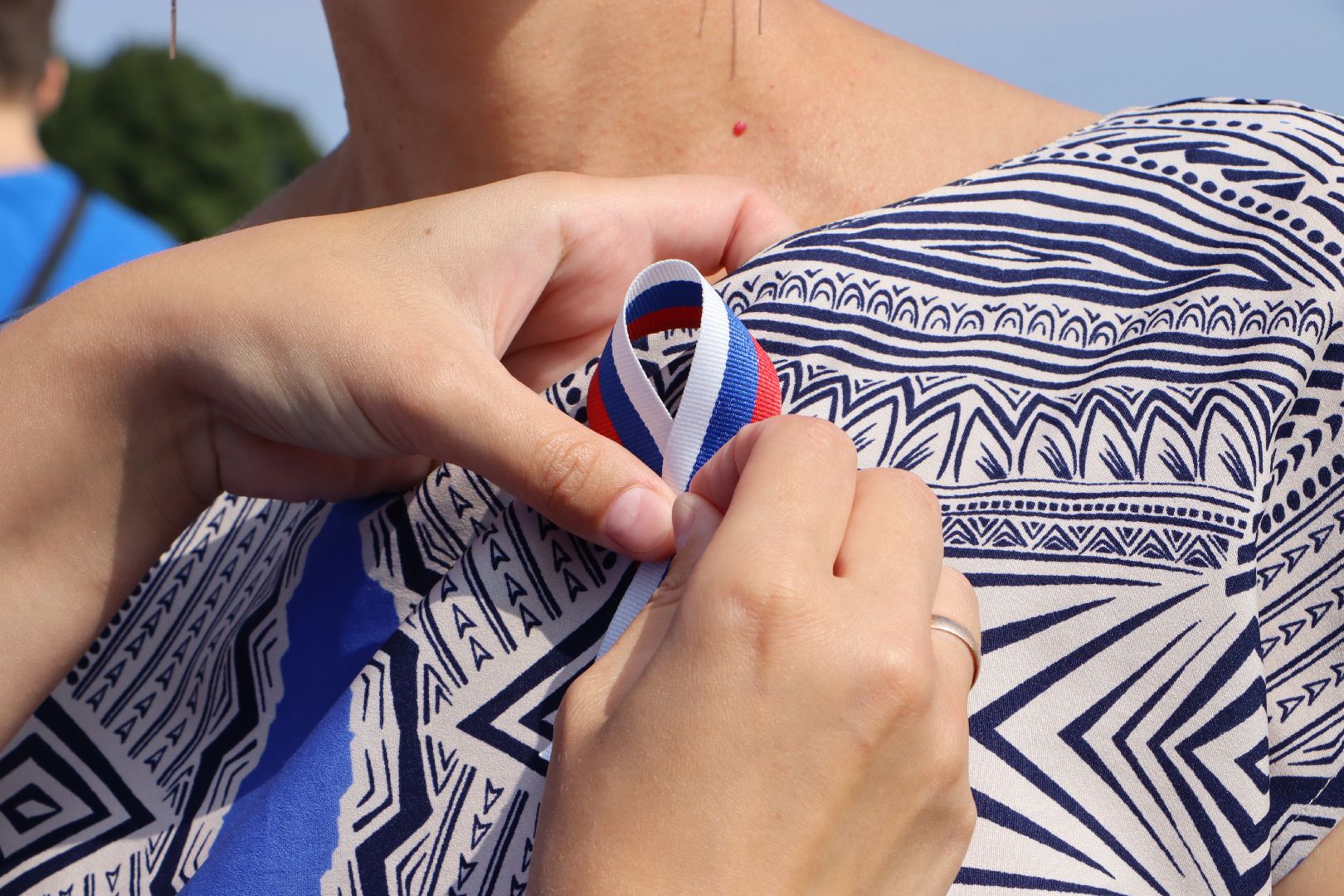 Серебряные Пруды, День флага, триколор, Парк Серебряный,