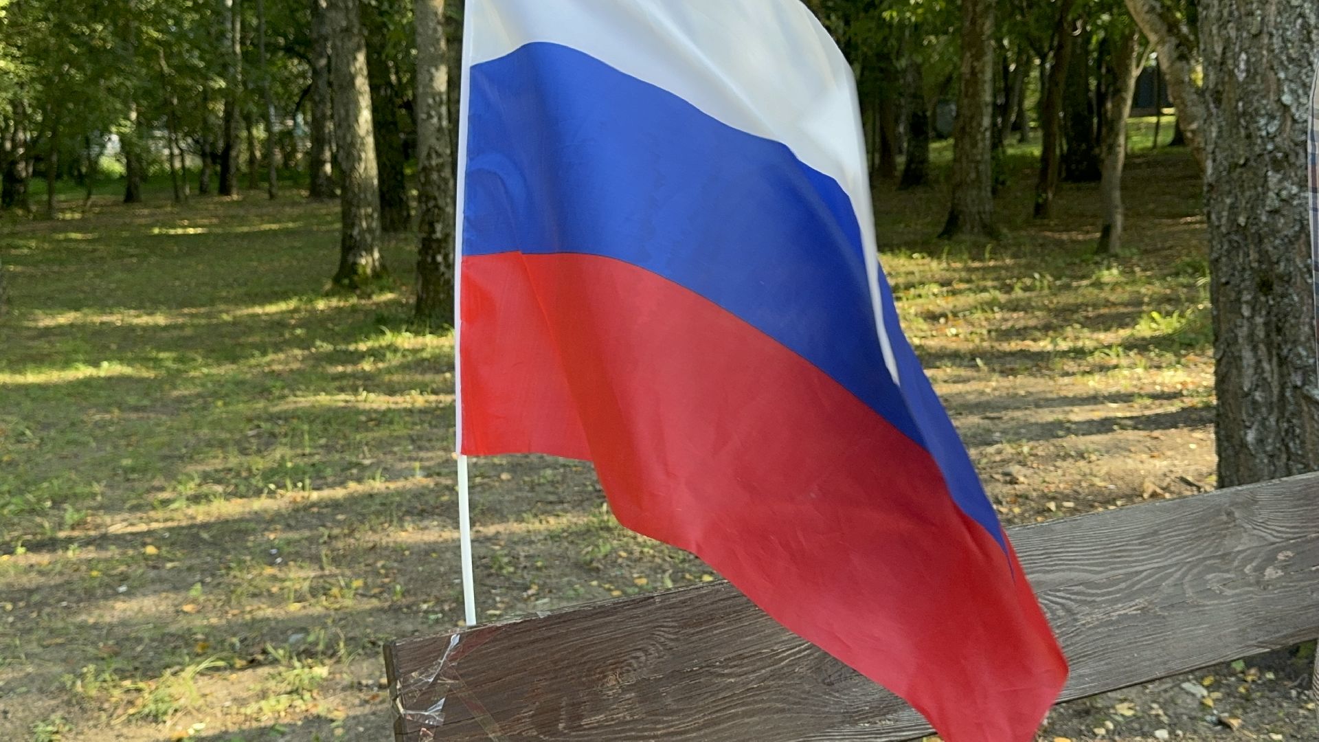 Солнечногорск, день флага россии, праздник, мастер класс, жители,