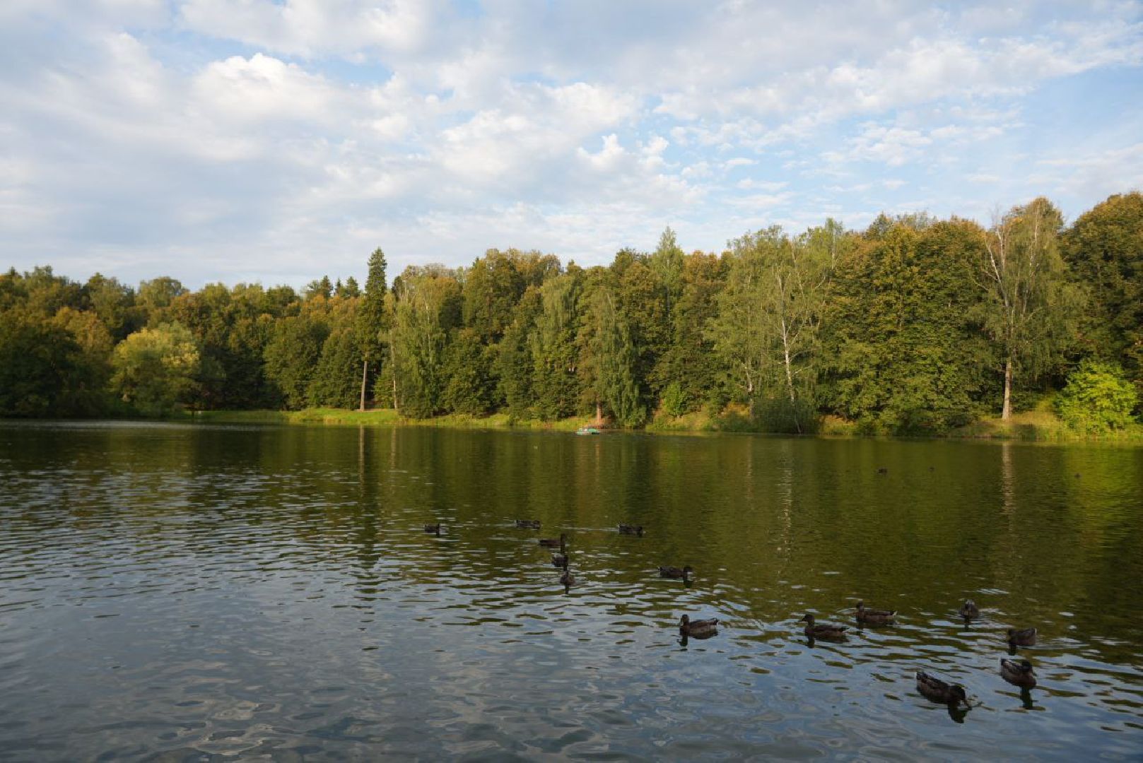 Сергиев Посад, Парки МО, День флага, Триколор, Скитские пруды,