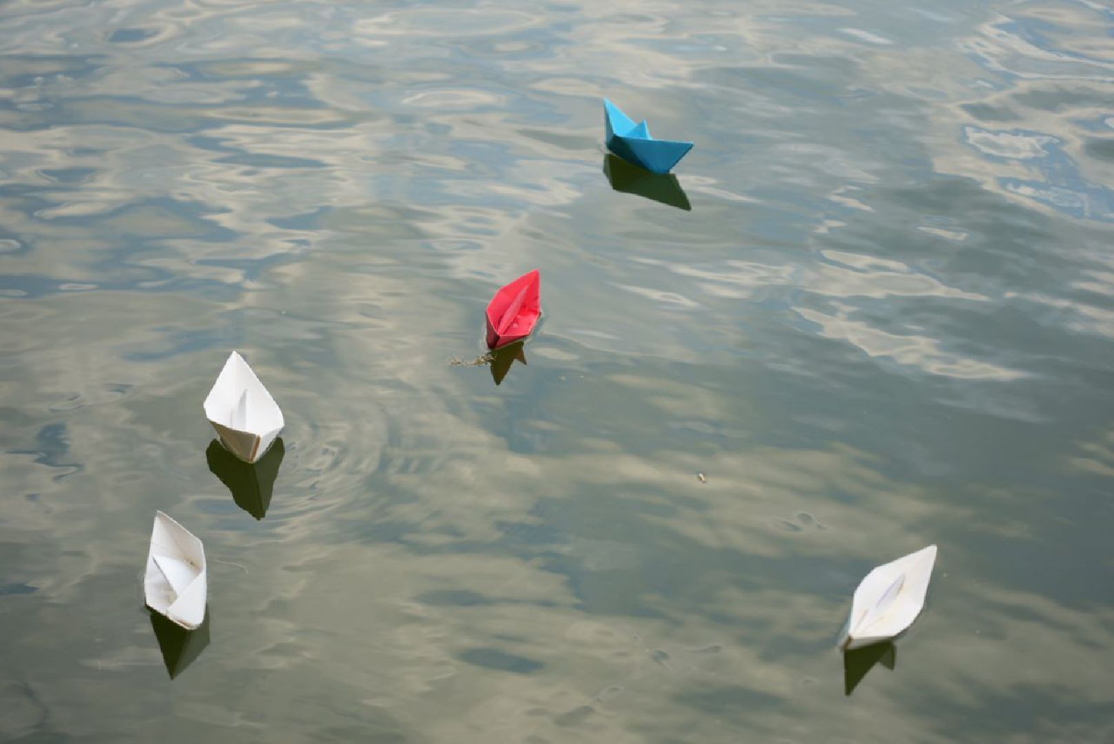 Сергиев Посад, Парки МО, День флага, Триколор, Скитские пруды,