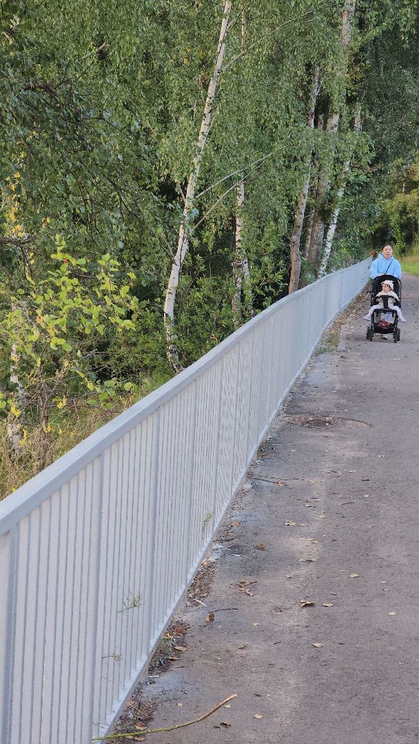 долгопрудный, хлебниково, пираты, памятник, вандалы,