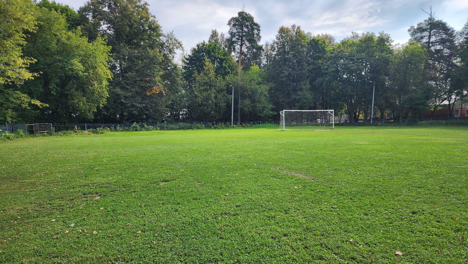 Футбол, спорт норма жизни, Демография, Футбольное поле, Благоустройство, Домодедово, Подмосковье,