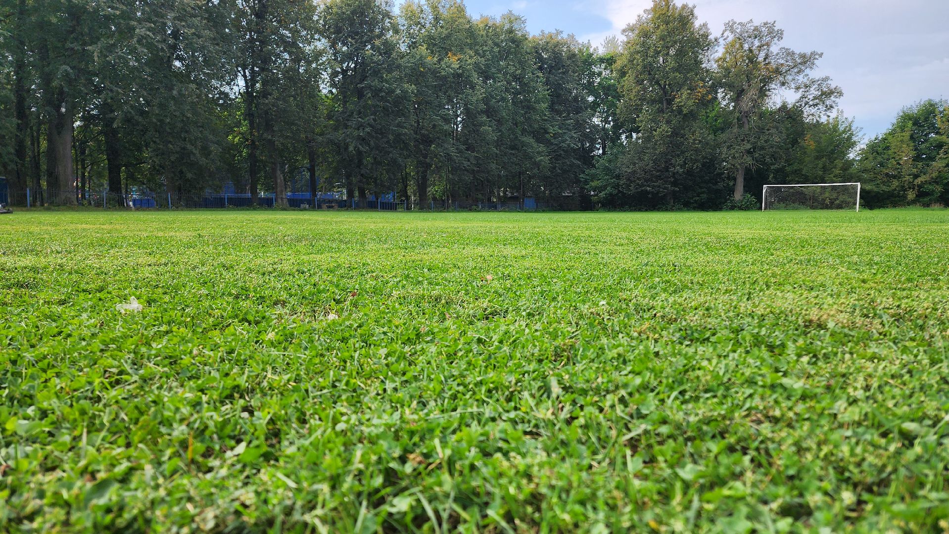 Футбол, спорт норма жизни, Демография, Футбольное поле, Благоустройство, Домодедово, Подмосковье,