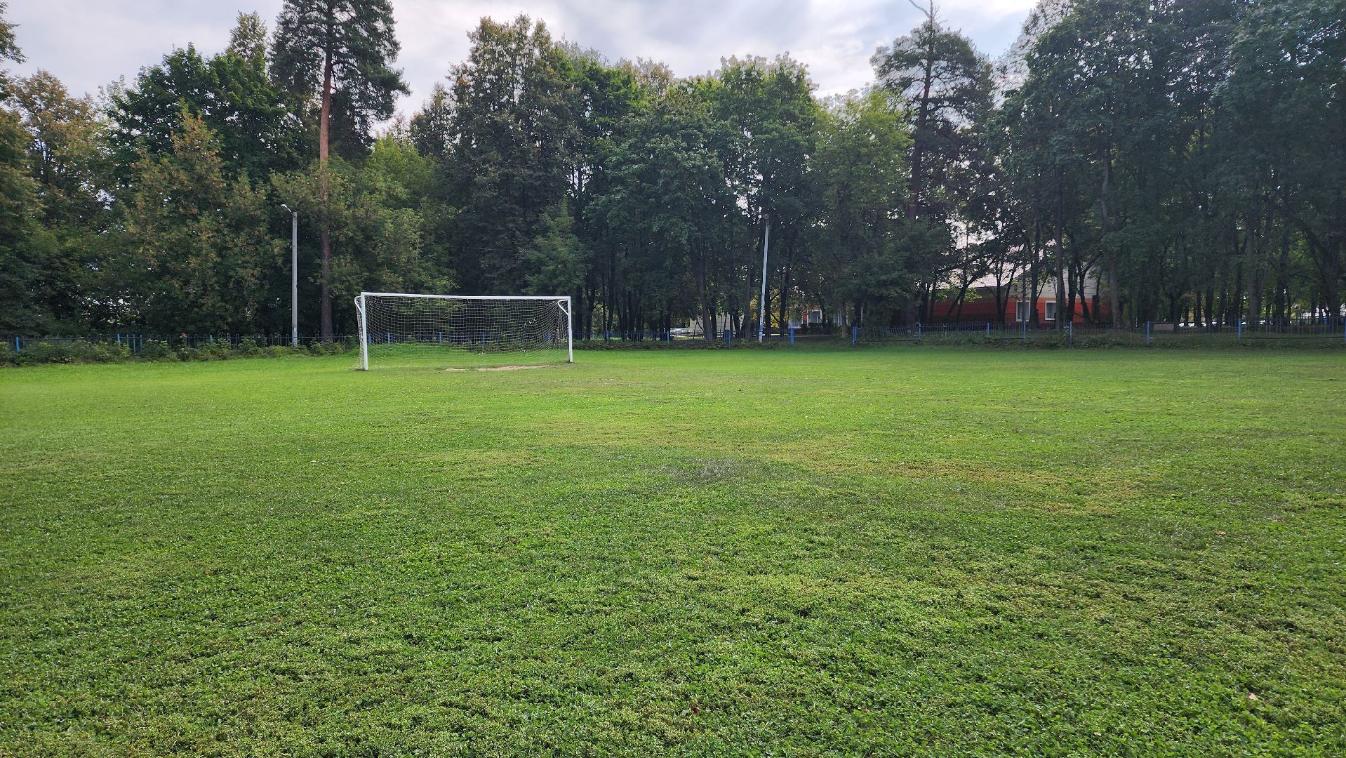 Футбол, спорт норма жизни, Демография, Футбольное поле, Благоустройство, Домодедово, Подмосковье,