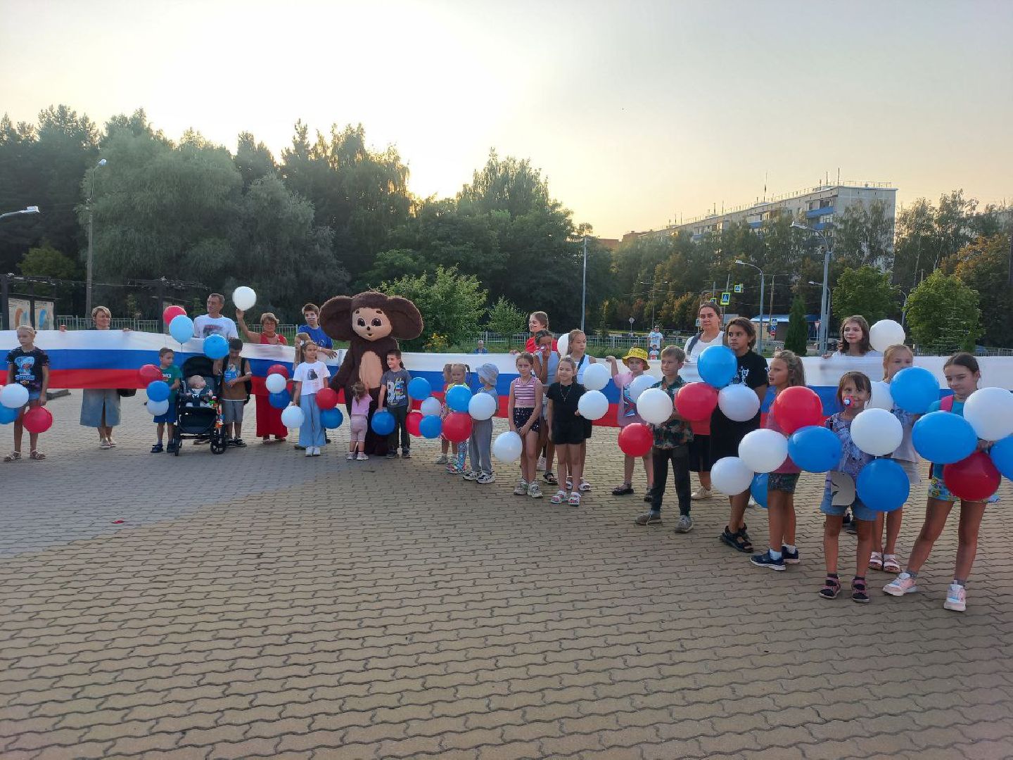 пущино, серпухов, флаг россии,