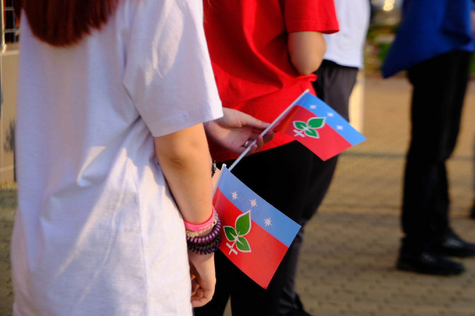 пущино, серпухов, флаг россии,