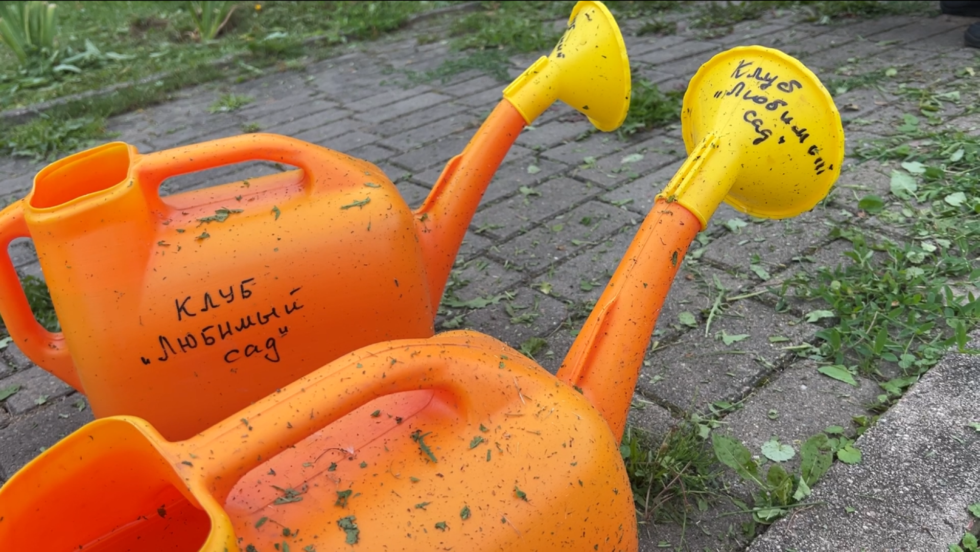 химки, благоустройство, больница,садоводство, клумбы,