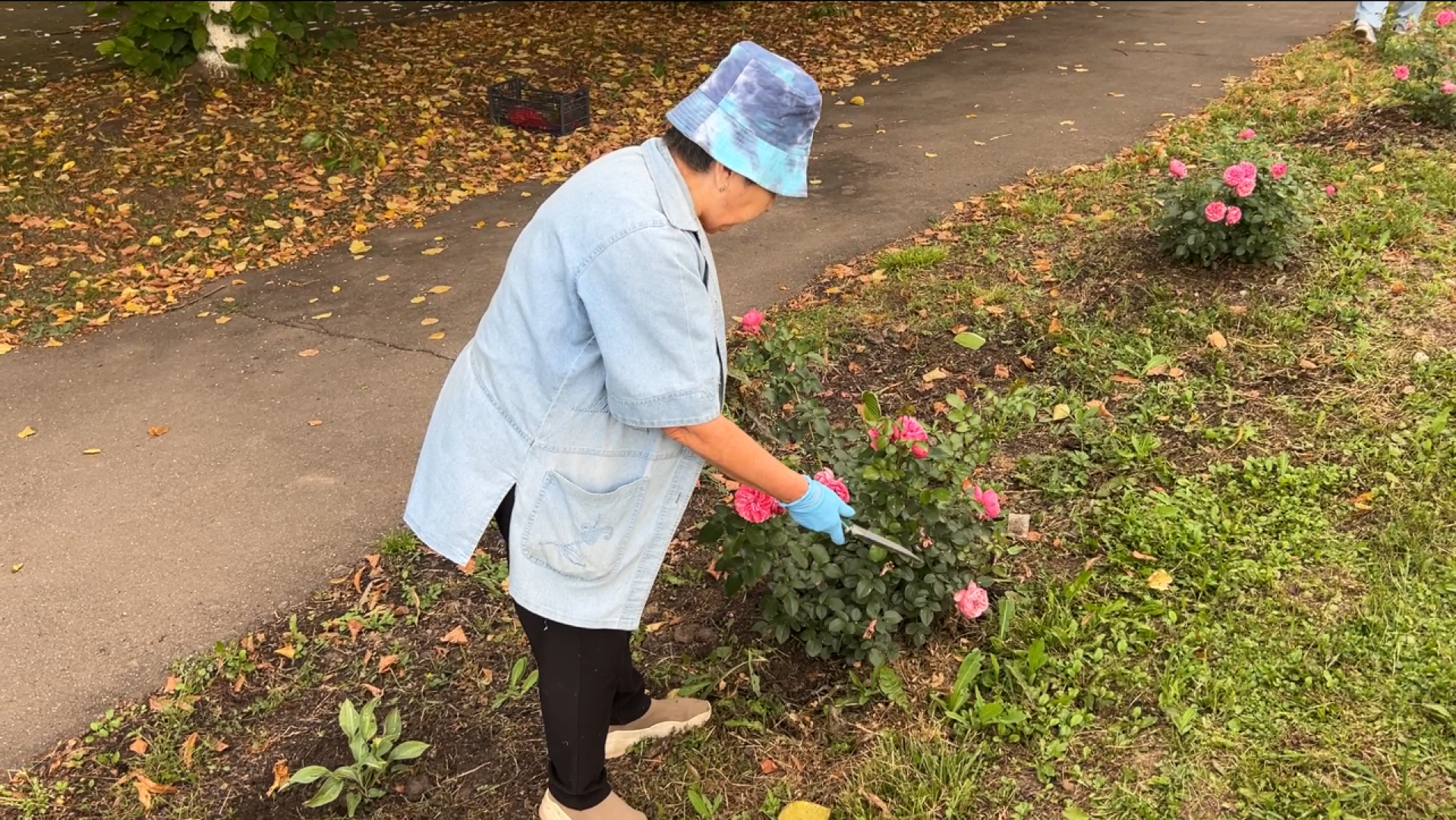 химки, благоустройство, больница,садоводство, клумбы,