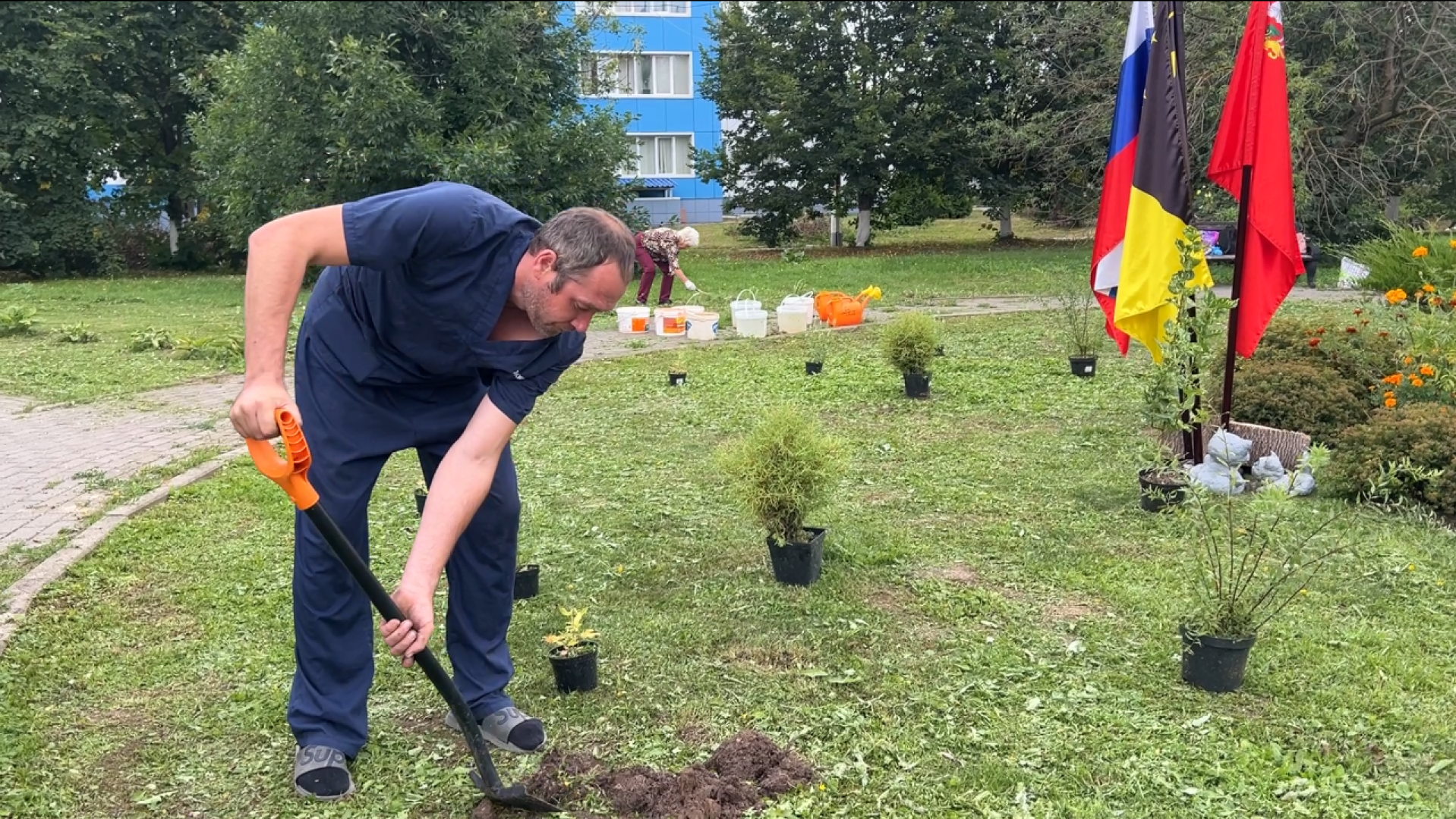 химки, благоустройство, больница,садоводство, клумбы,