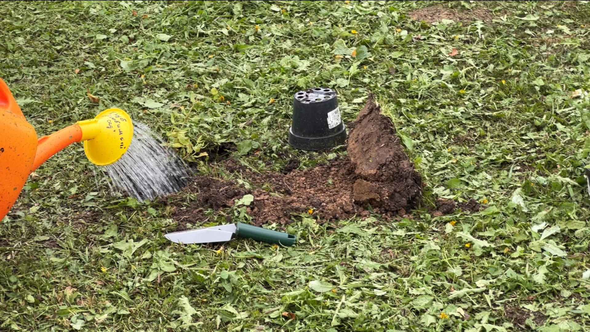 химки, благоустройство, больница,садоводство, клумбы,