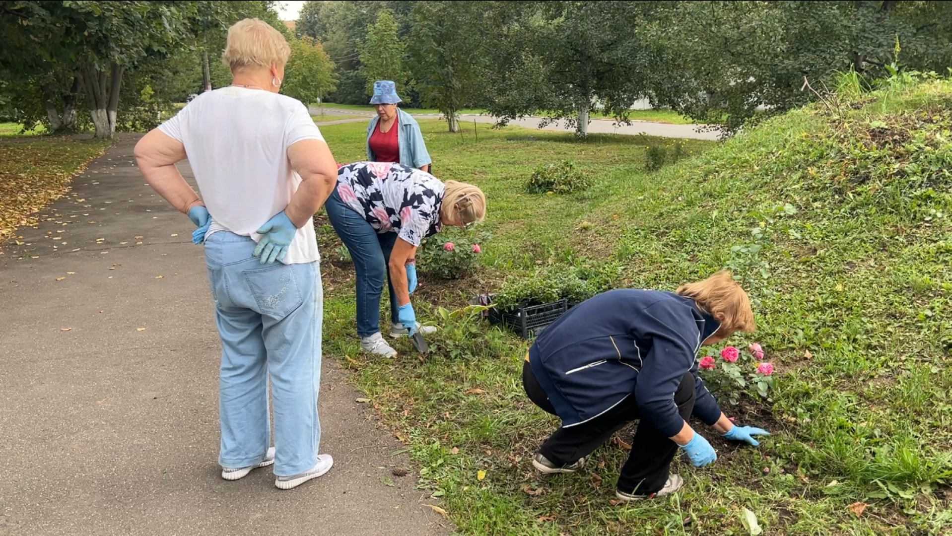 химки, благоустройство, больница,садоводство, клумбы,