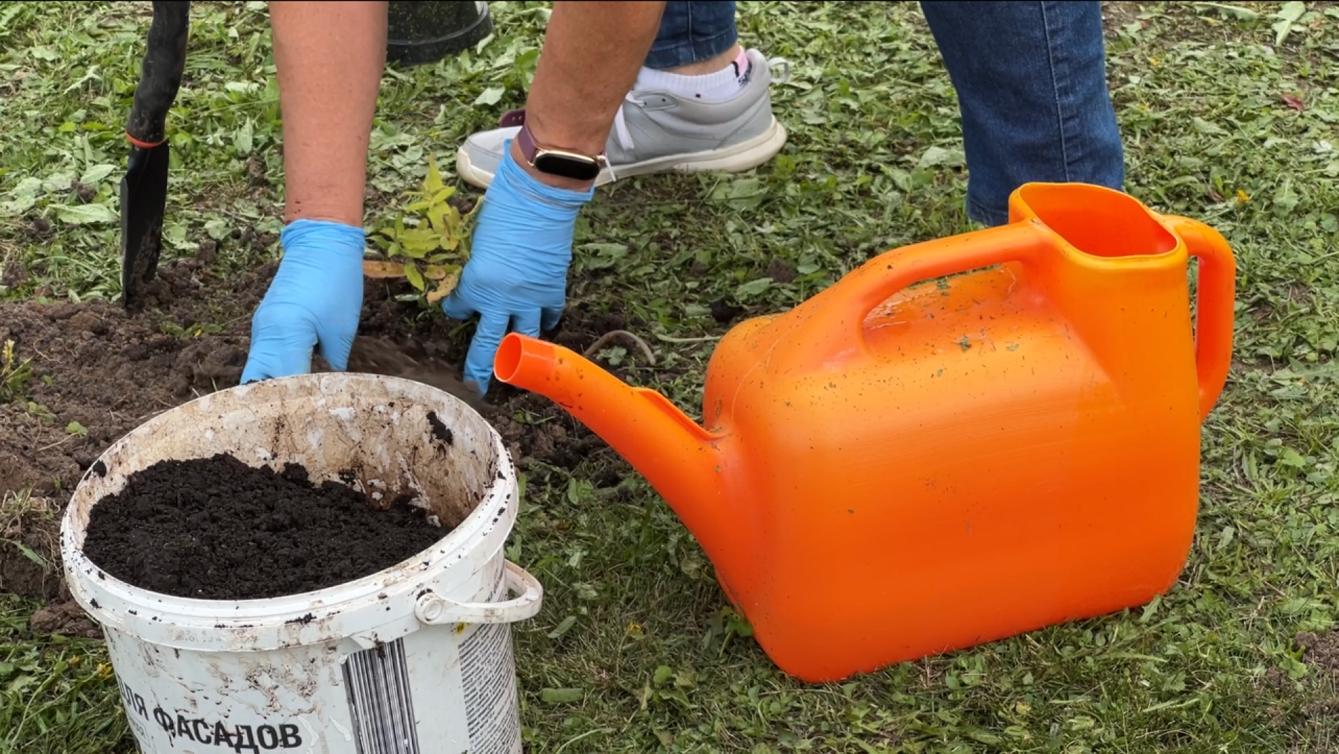 химки, благоустройство, больница,садоводство, клумбы,