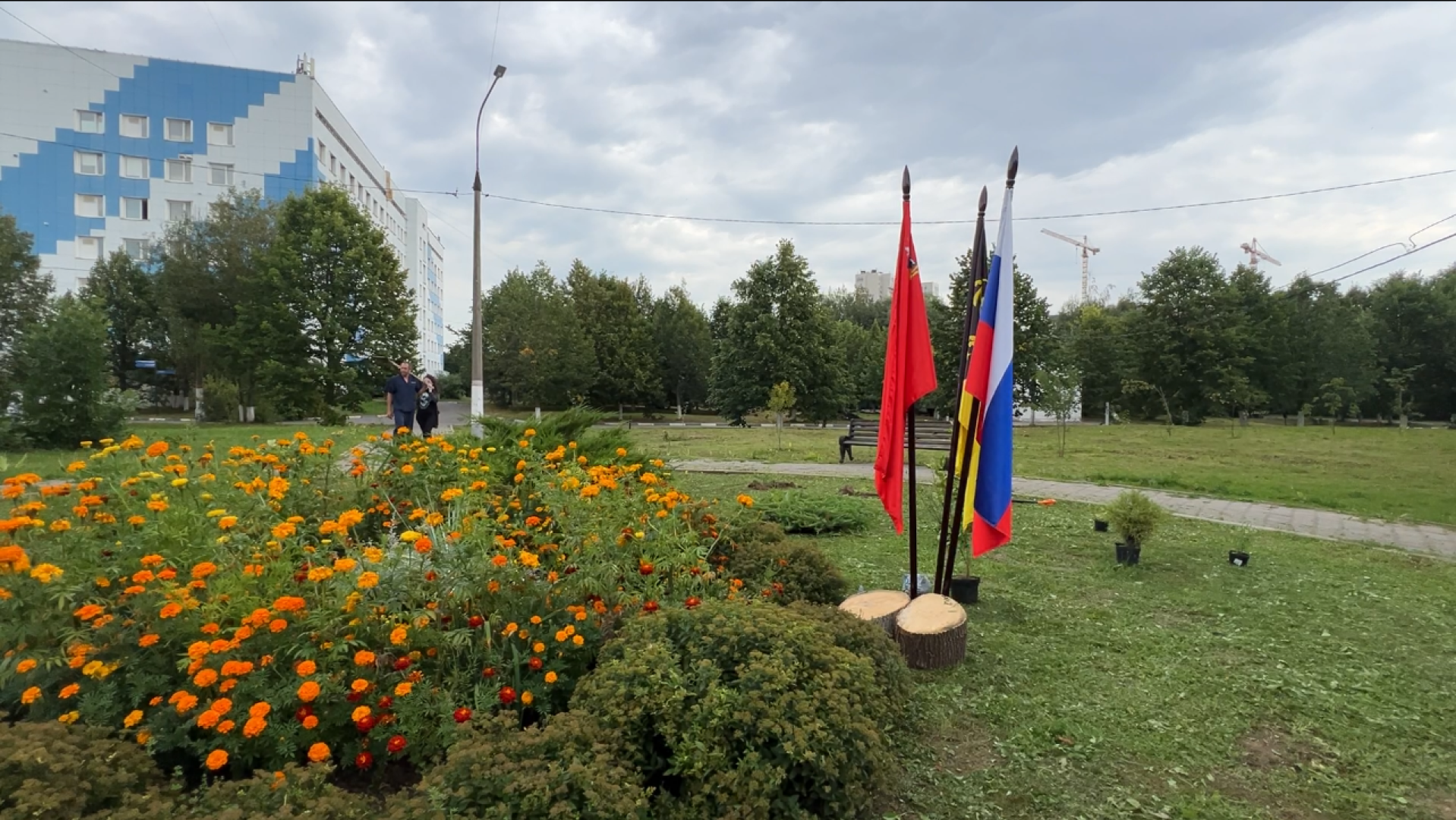 химки, благоустройство, больница,садоводство, клумбы,