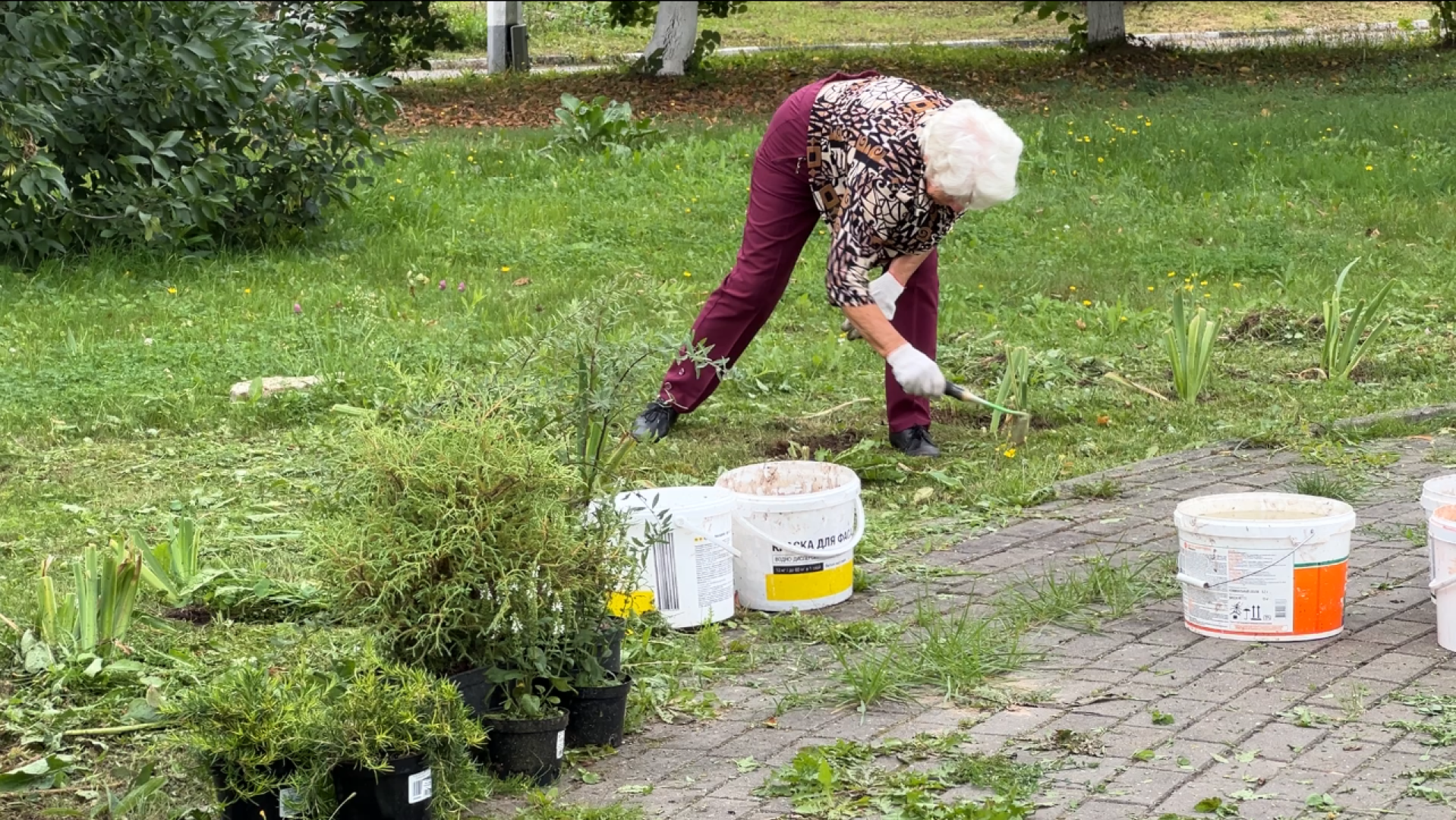 химки, благоустройство, больница,садоводство, клумбы,