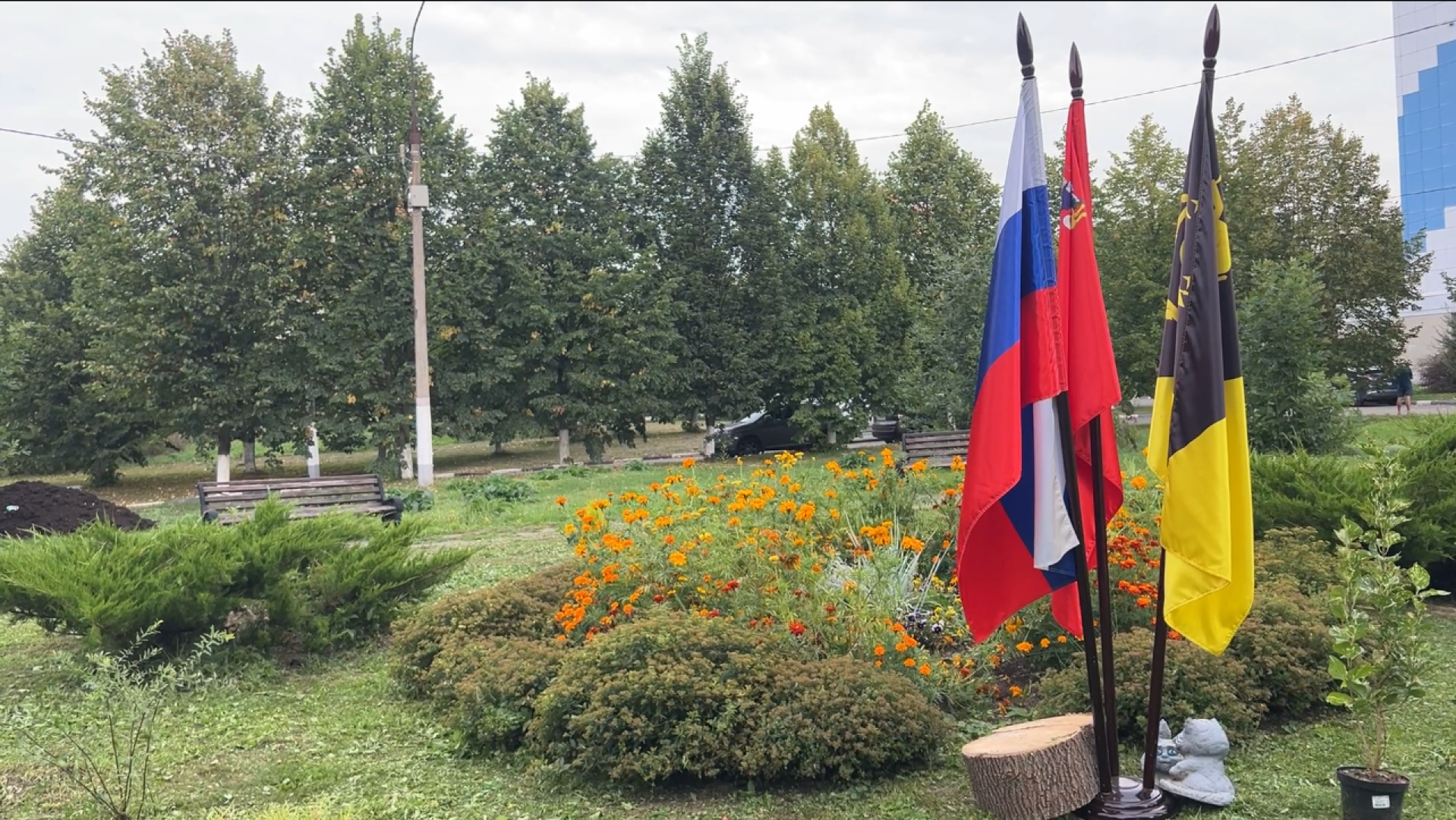 химки, благоустройство, больница,садоводство, клумбы,