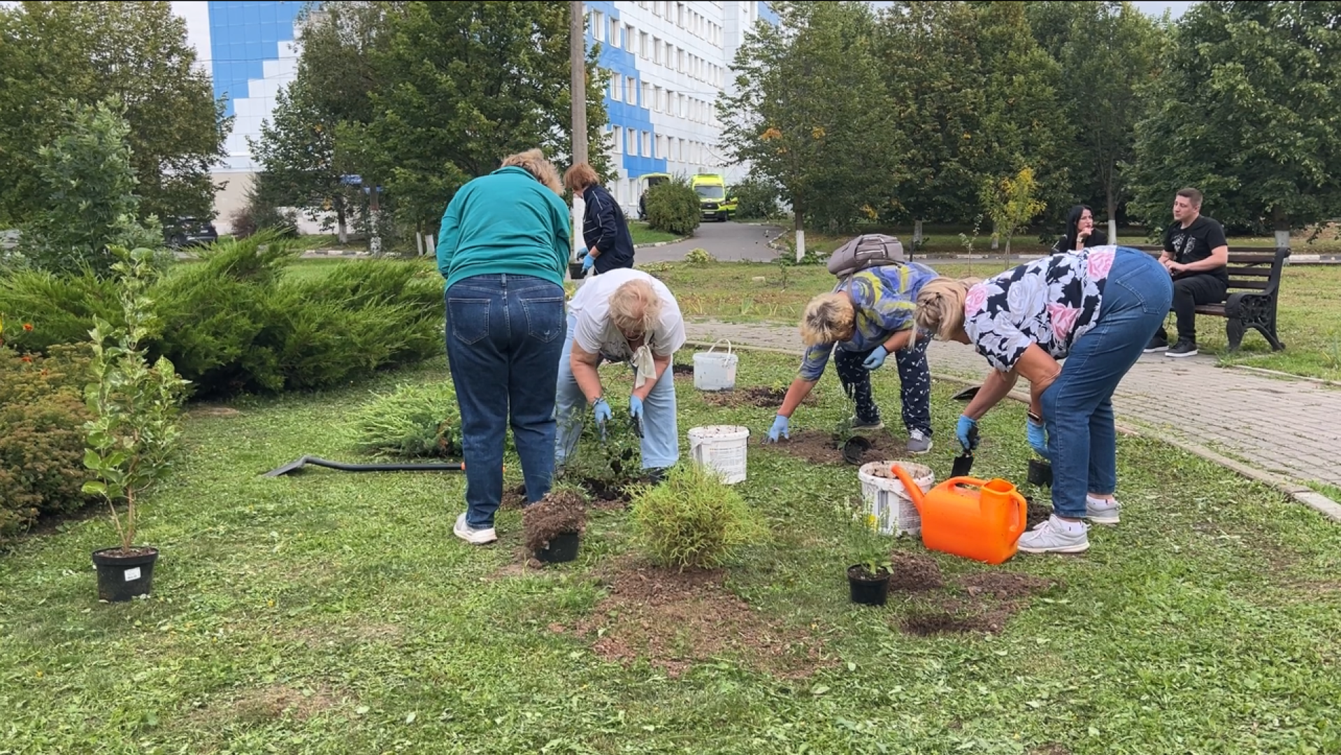 химки, благоустройство, больница,садоводство, клумбы,