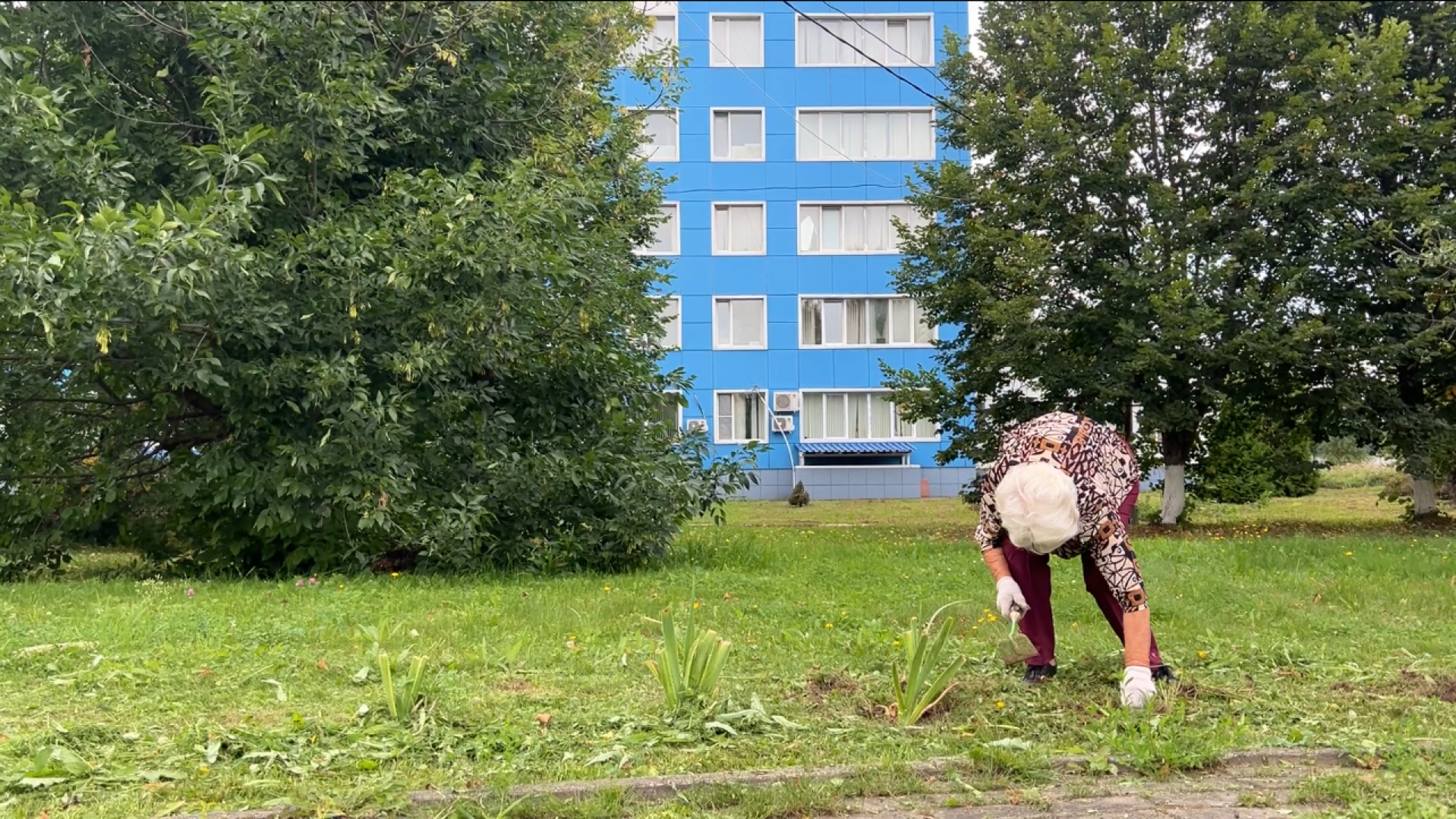 химки, благоустройство, больница,садоводство, клумбы,