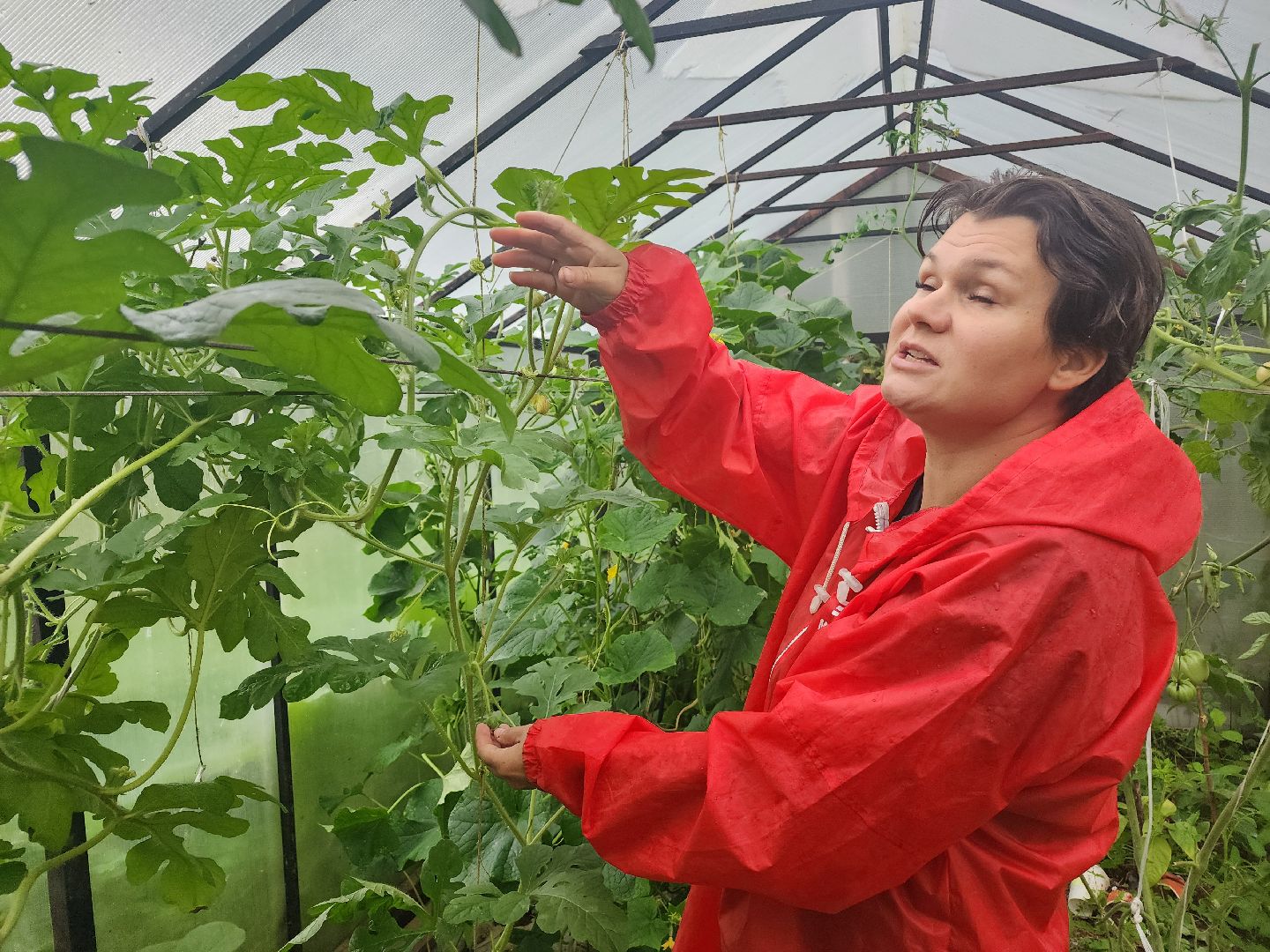 рекорд, тыква, волоколамск,