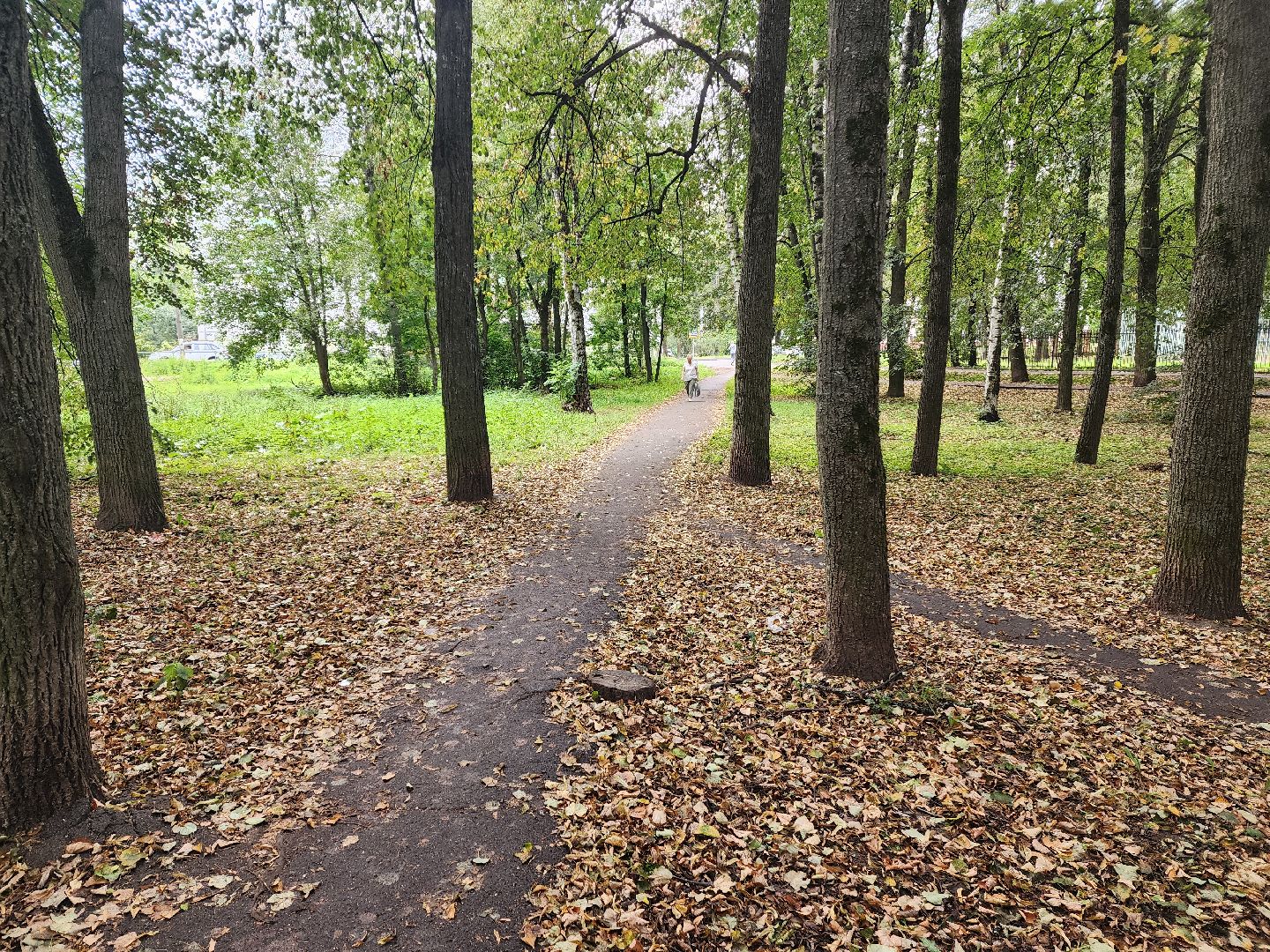 красноармейск, городской округ пушкинский, выездная администрация, обращение жителей,
