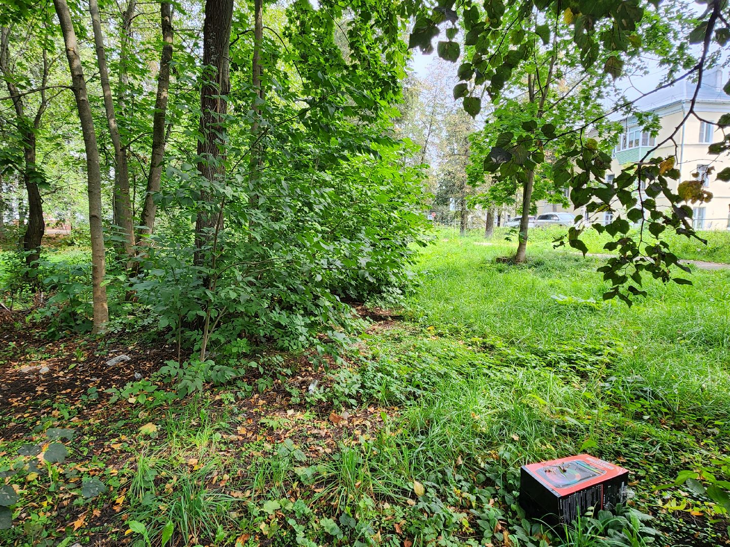 красноармейск, городской округ пушкинский, выездная администрация, обращение жителей,