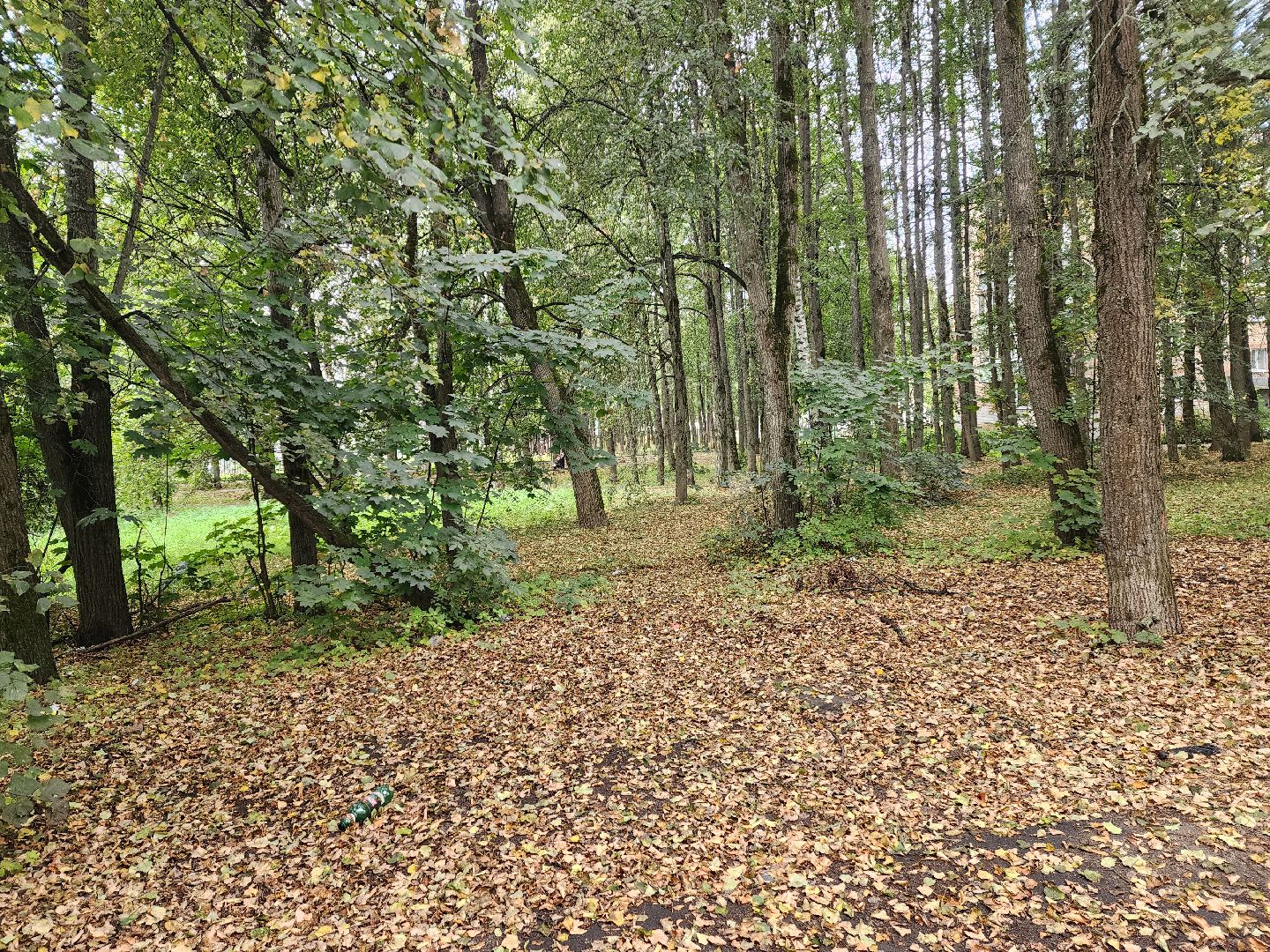 красноармейск, городской округ пушкинский, выездная администрация, обращение жителей,