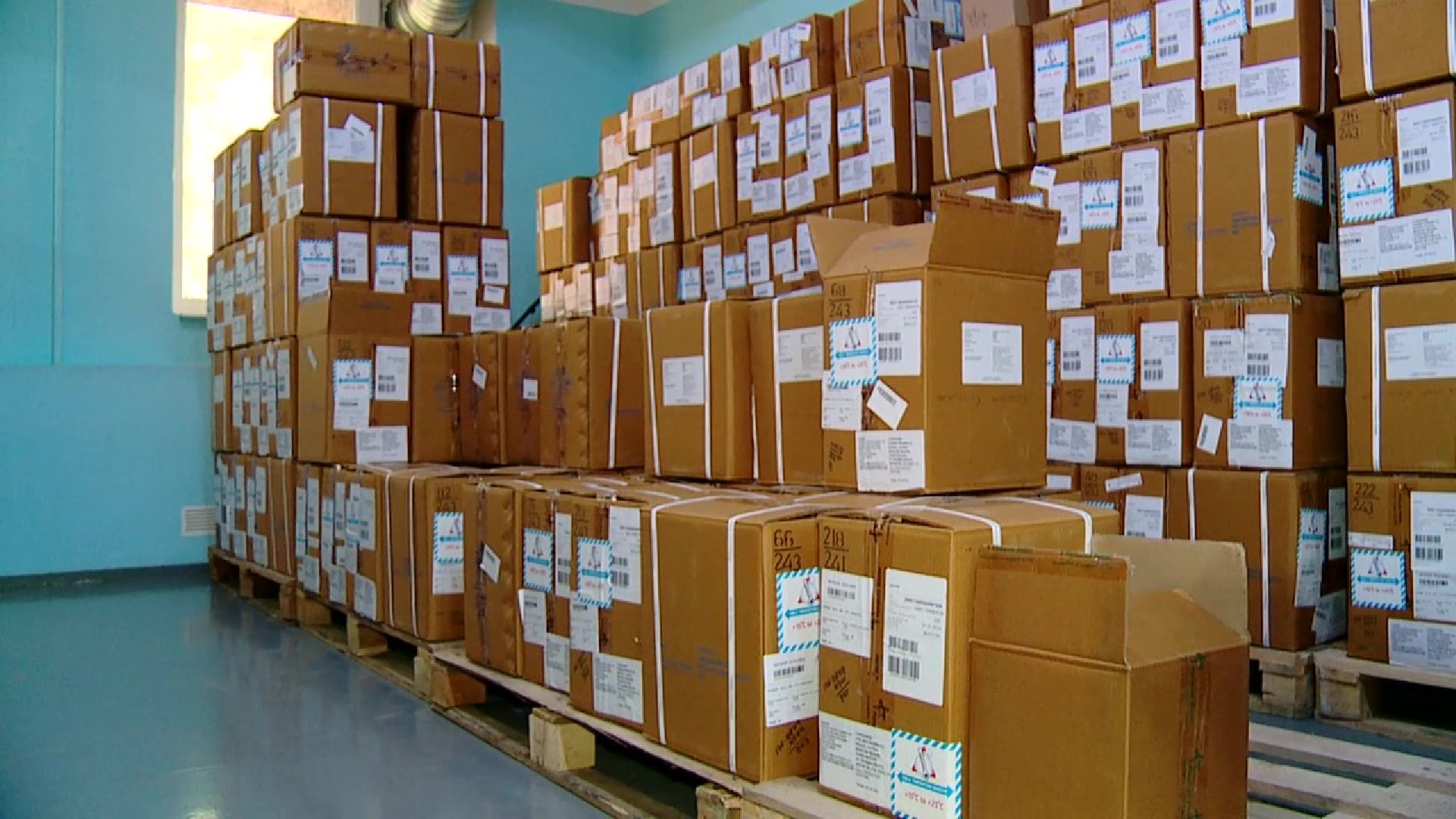 Реутов, экономика, лекарства, производство, панбио фарм, медицина, препараты,