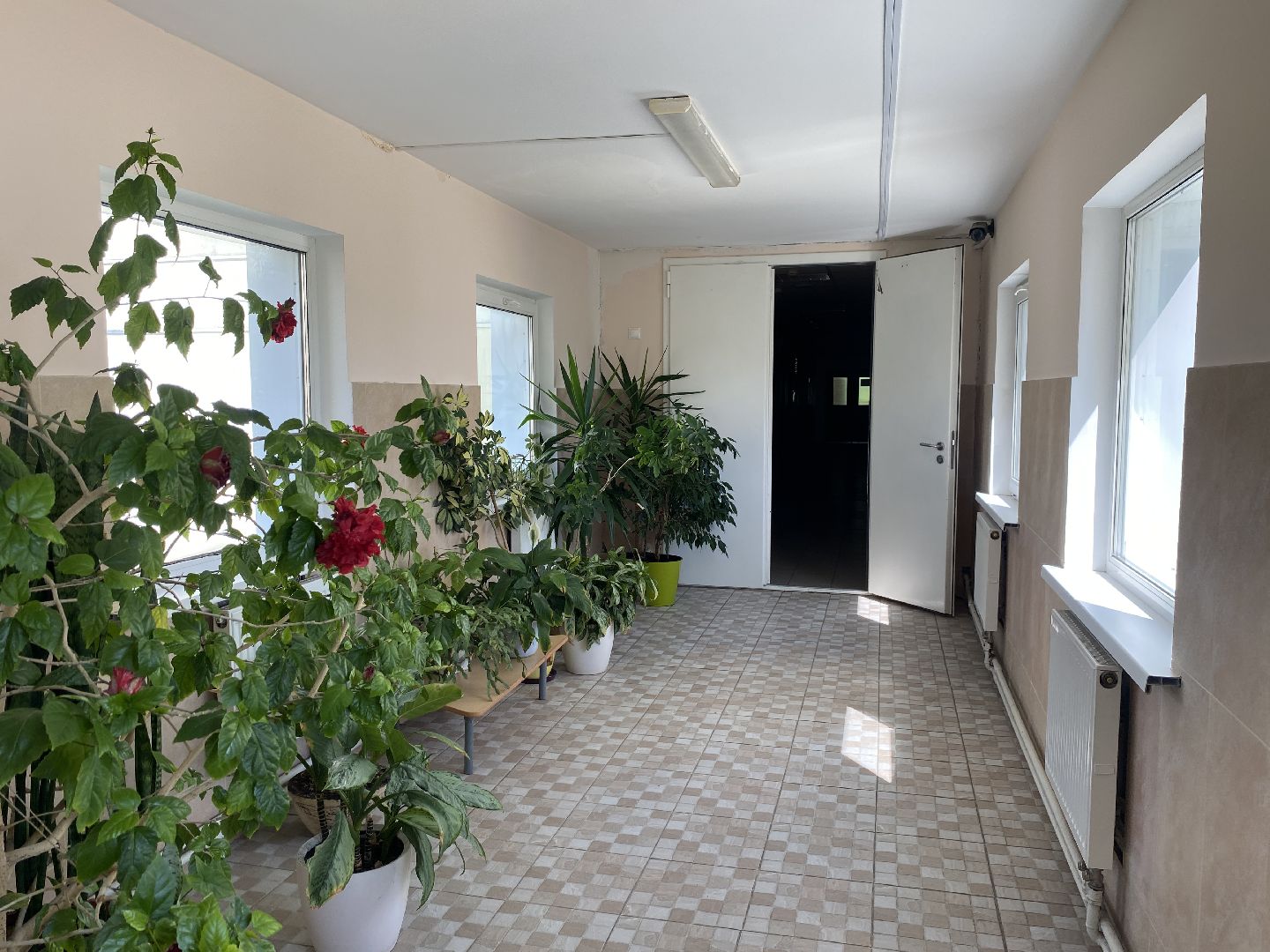 школа перспектива власиха, школа Перспектива, новый учебный год, готовность школы, учебный год 2024-2025, трудовые бригады перспектива,