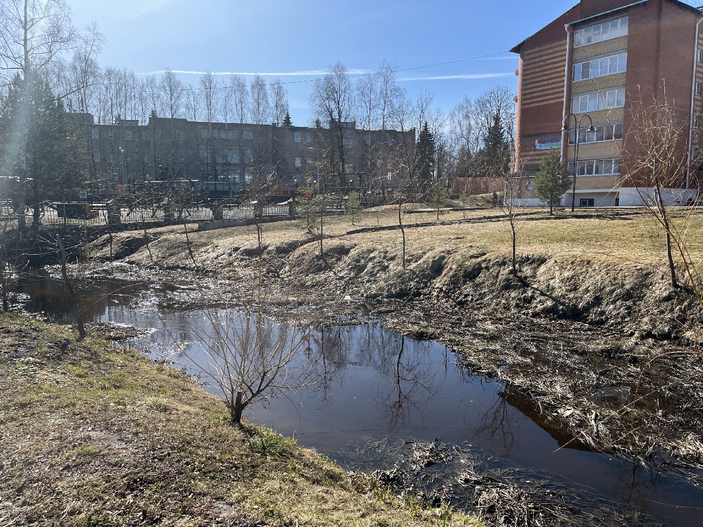 Шаховская, уборка, мусор,