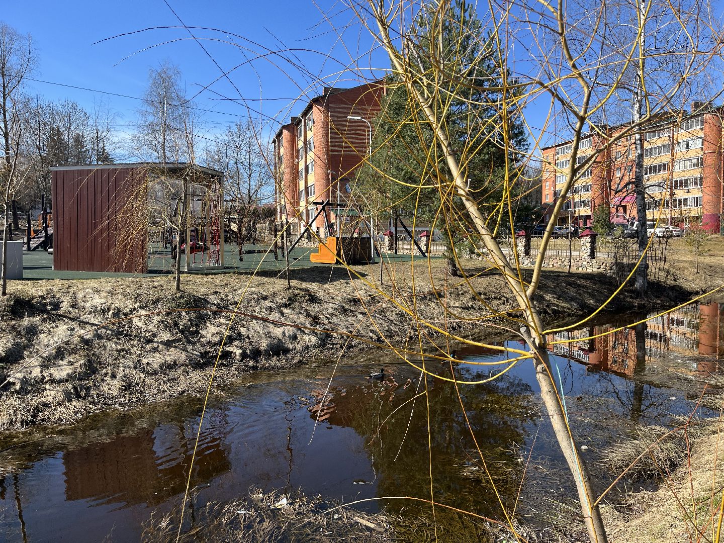 Шаховская, уборка, мусор,