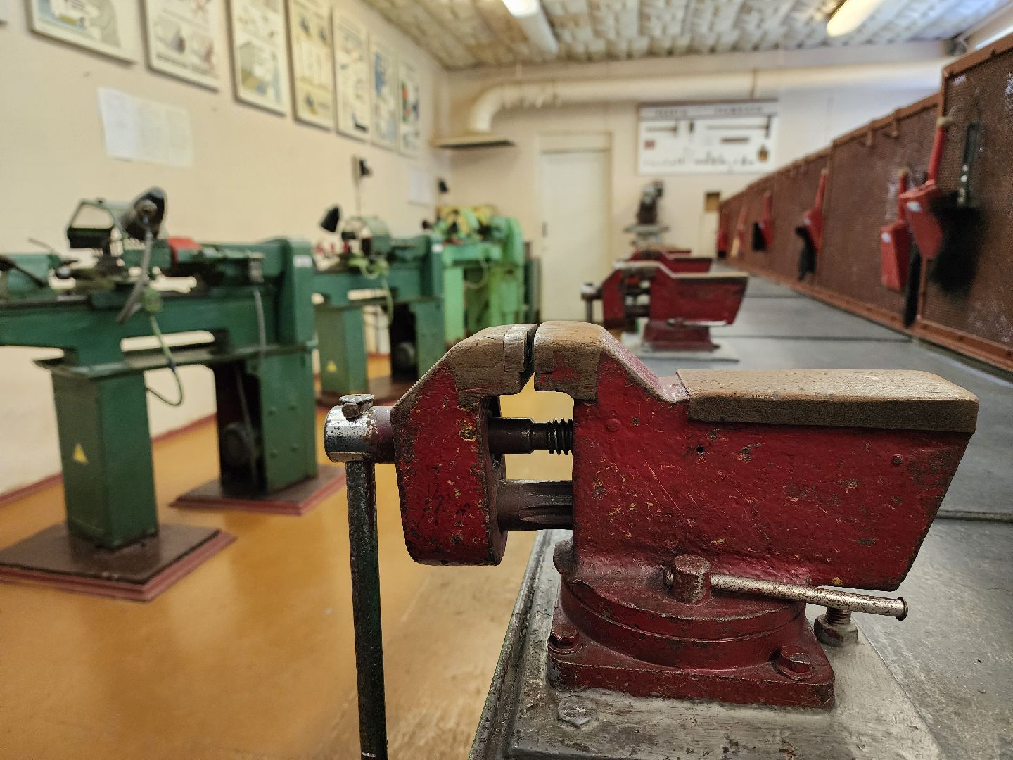 воскресенск, образование, новые предметы,