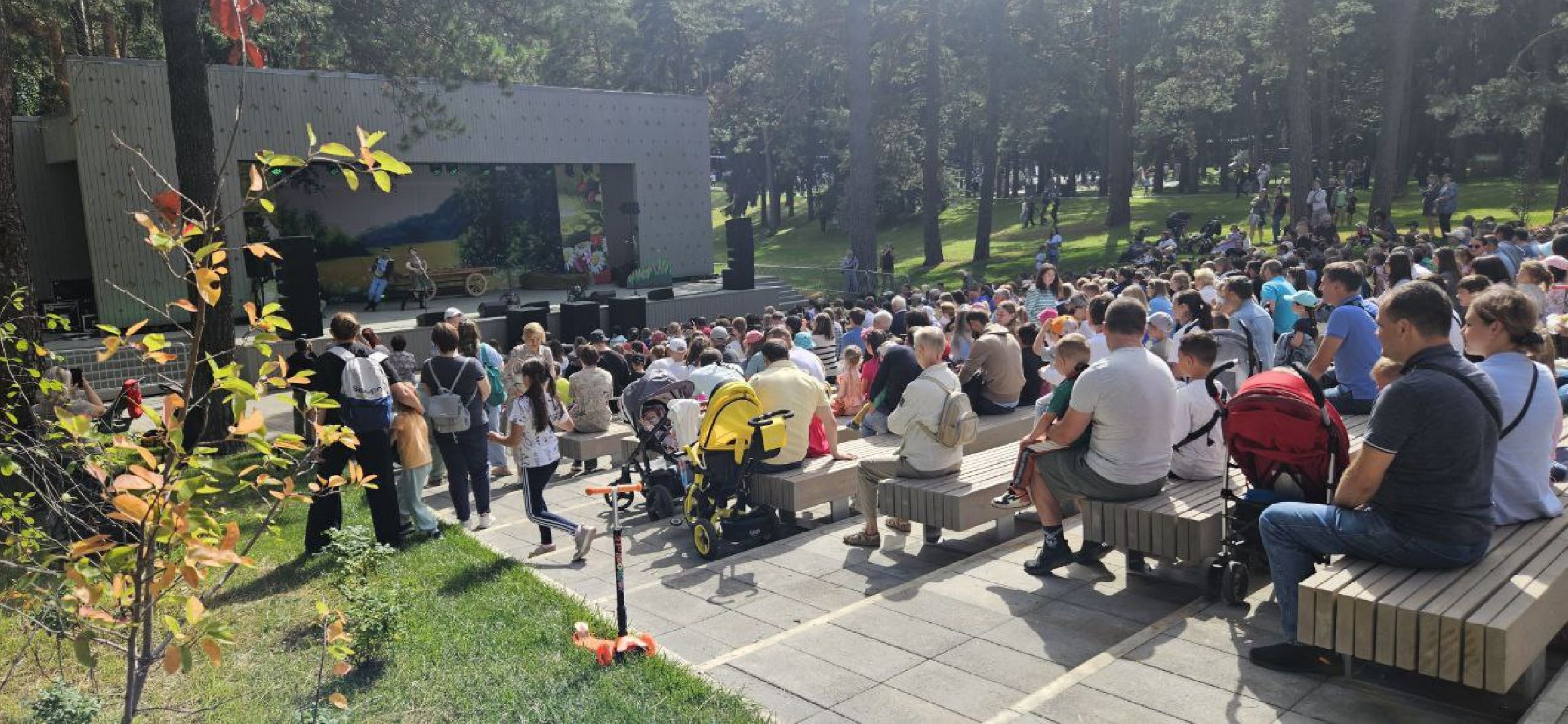 праздник, день города, жуковский парк,