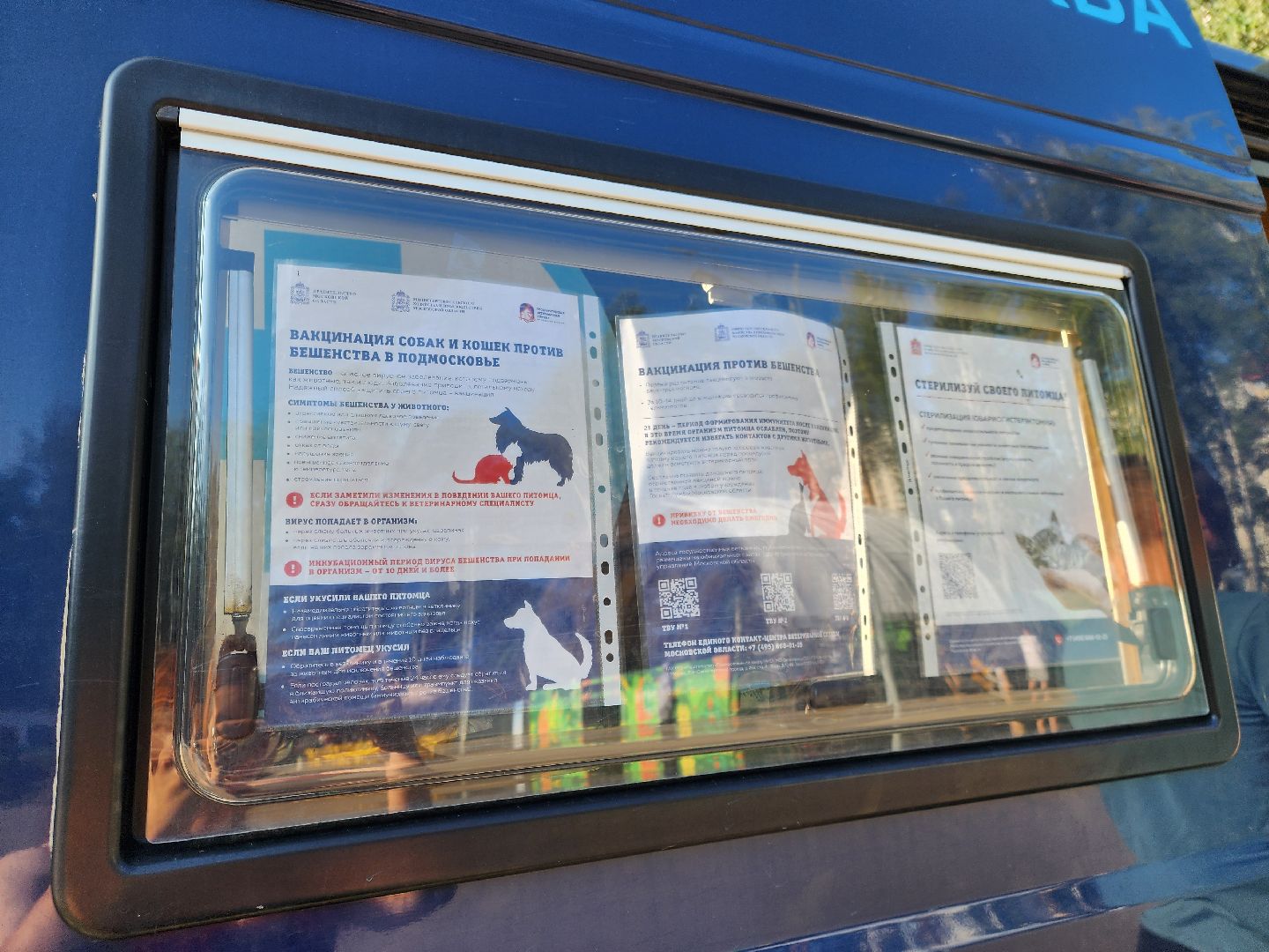 животные, жители, общество, ветеринария, мобильный пункт, чипирование домашних животных,