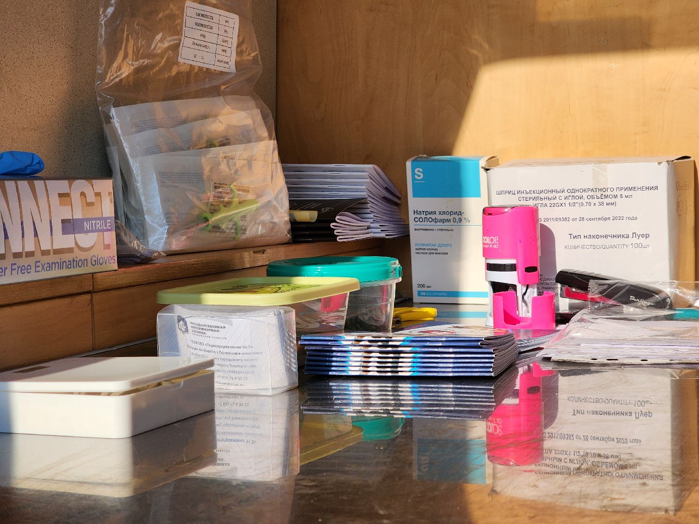 животные, жители, общество, ветеринария, мобильный пункт, чипирование домашних животных,