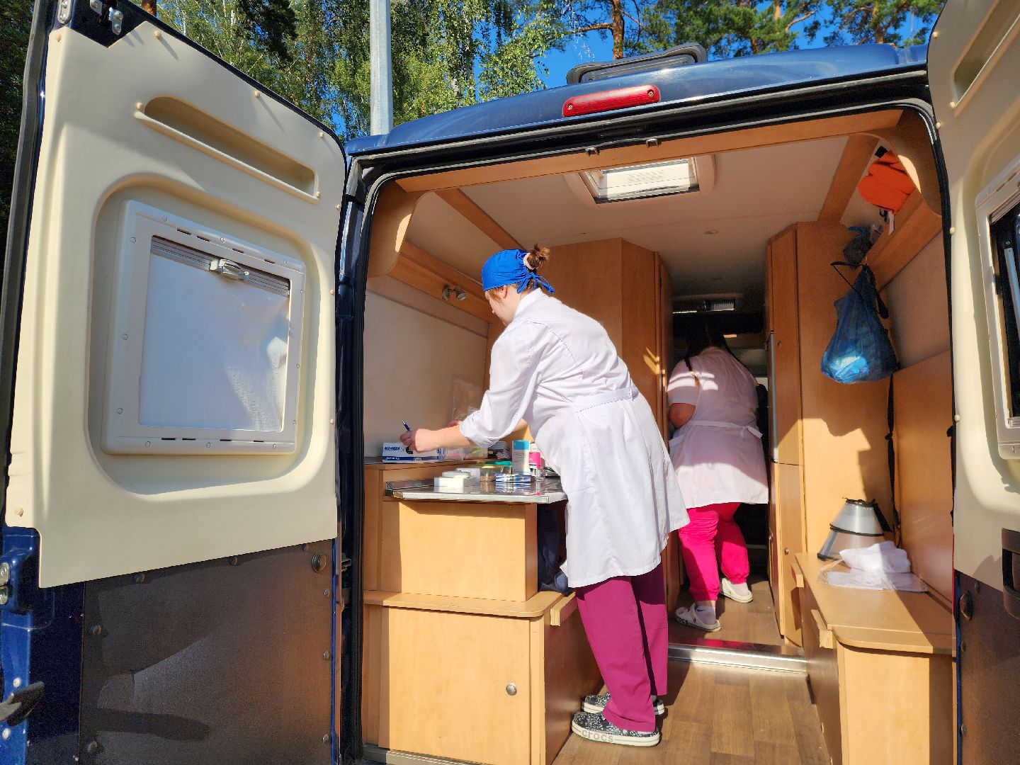 животные, жители, общество, ветеринария, мобильный пункт, чипирование домашних животных,