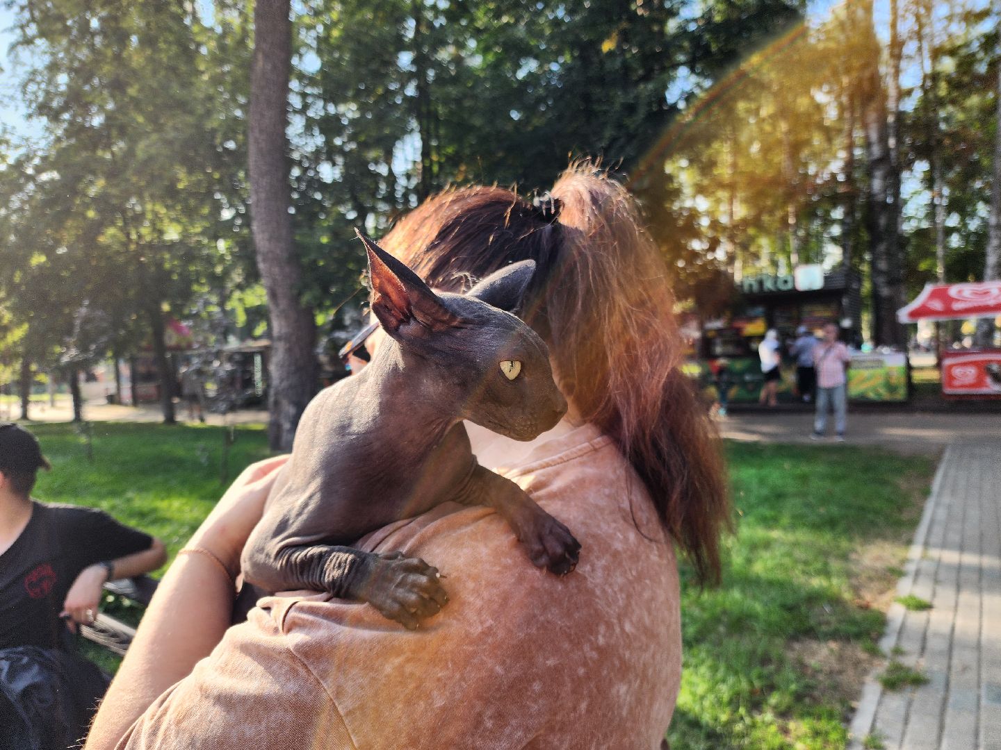 животные, жители, общество, ветеринария, мобильный пункт, чипирование домашних животных,