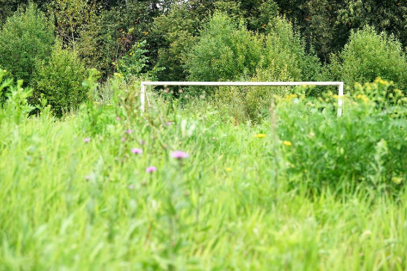 Спорт, Футбольный стадион, Сергиев Посад, Перемены,