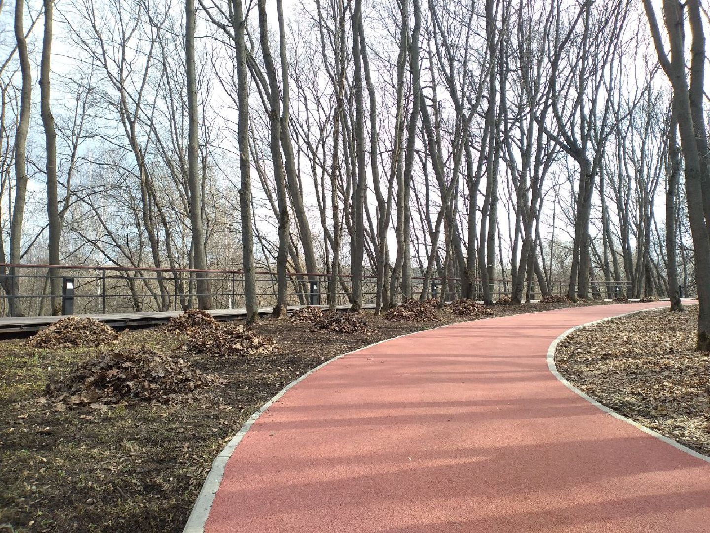 благоустройство, парк, Лосино-Петровский