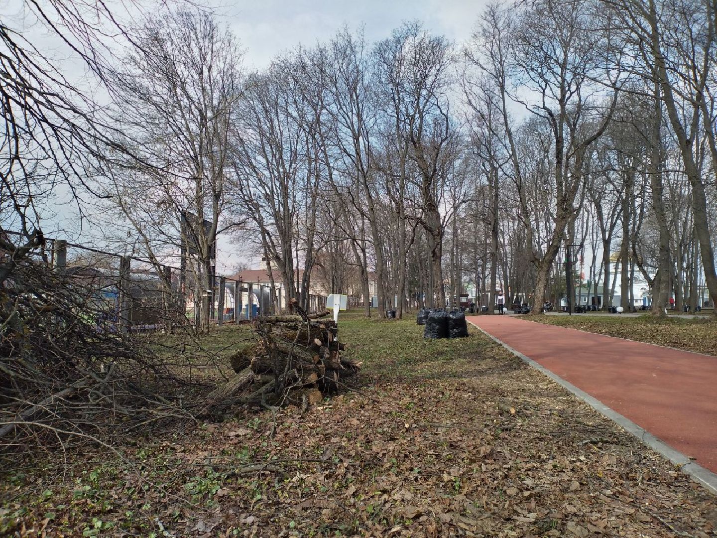 благоустройство, парк, Лосино-Петровский
