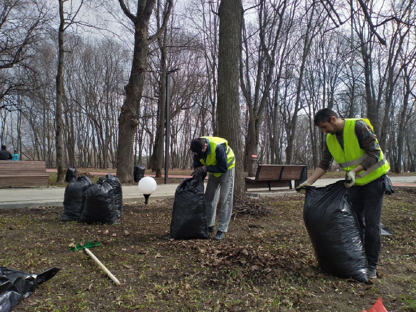благоустройство, парк, Лосино-Петровский